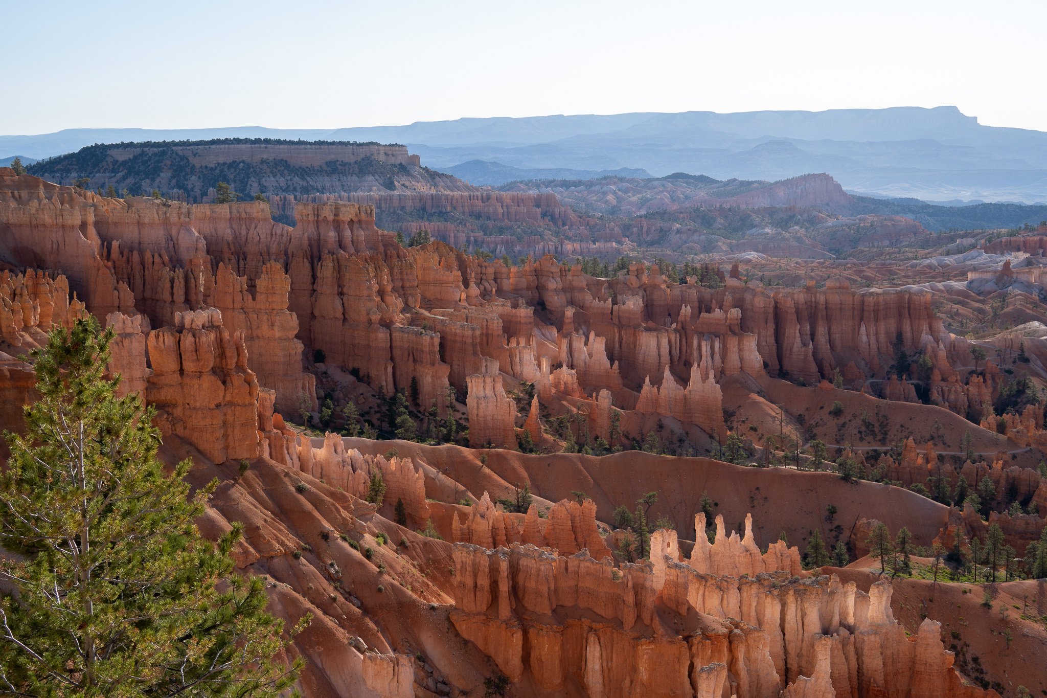 view of bryce, usa.jpg