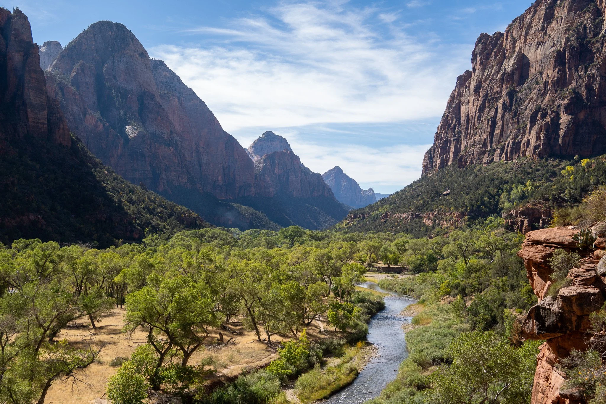 green colors and a river zion national park, usa.jpg