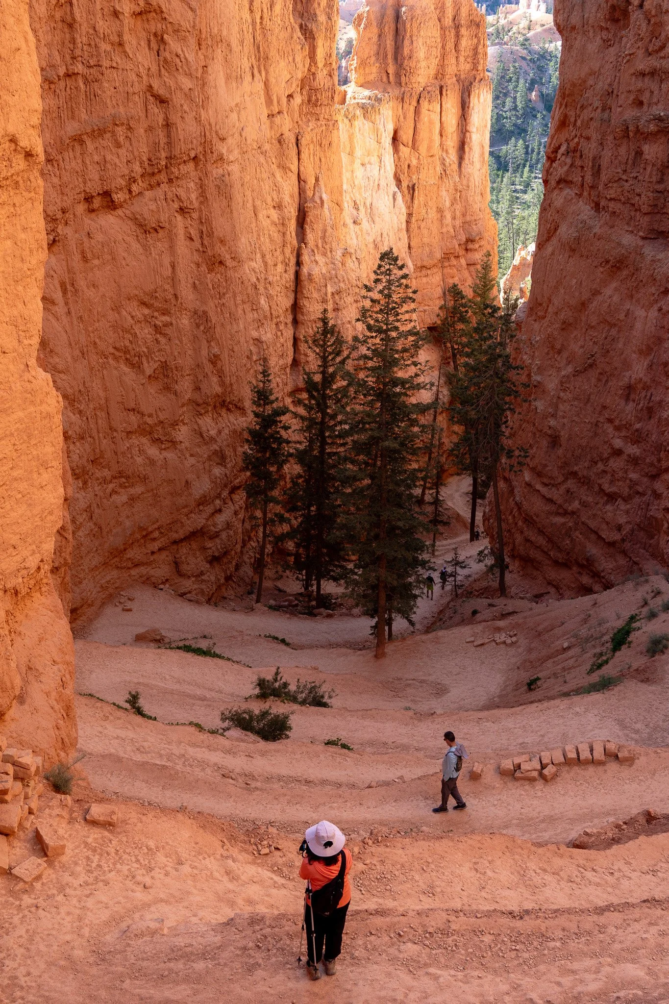 two people walking inside bryce, utah, usa.jpg