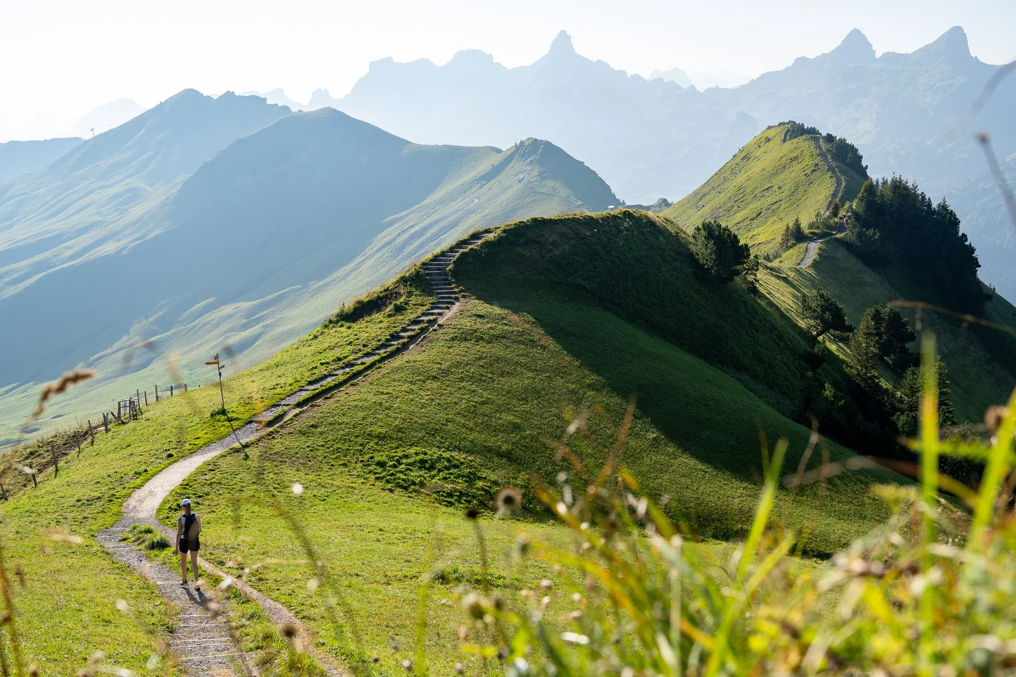 path on ridge, stoos, switzerland.jpg