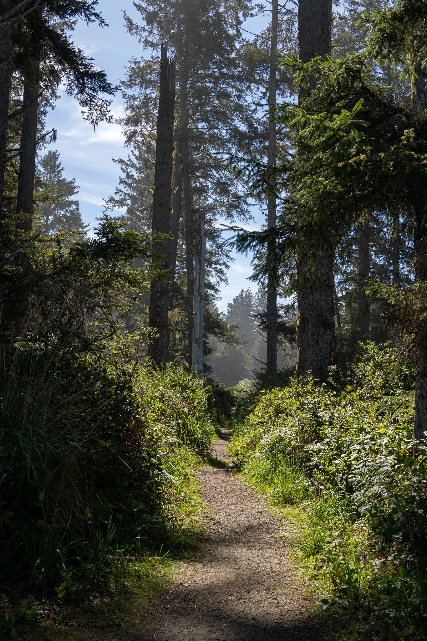 path in forest, sue meg state park, usa.jpg