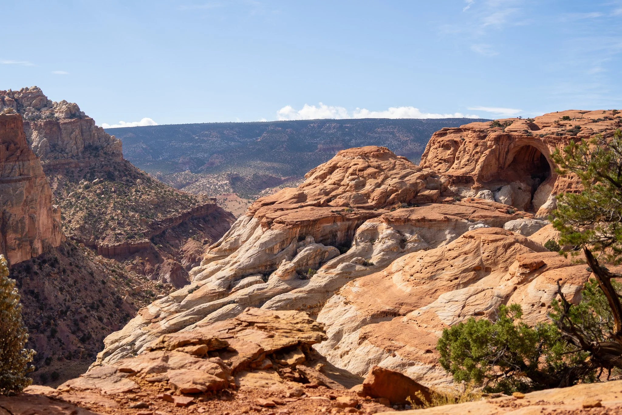 arch at capitol reef, utah, usa.jpg