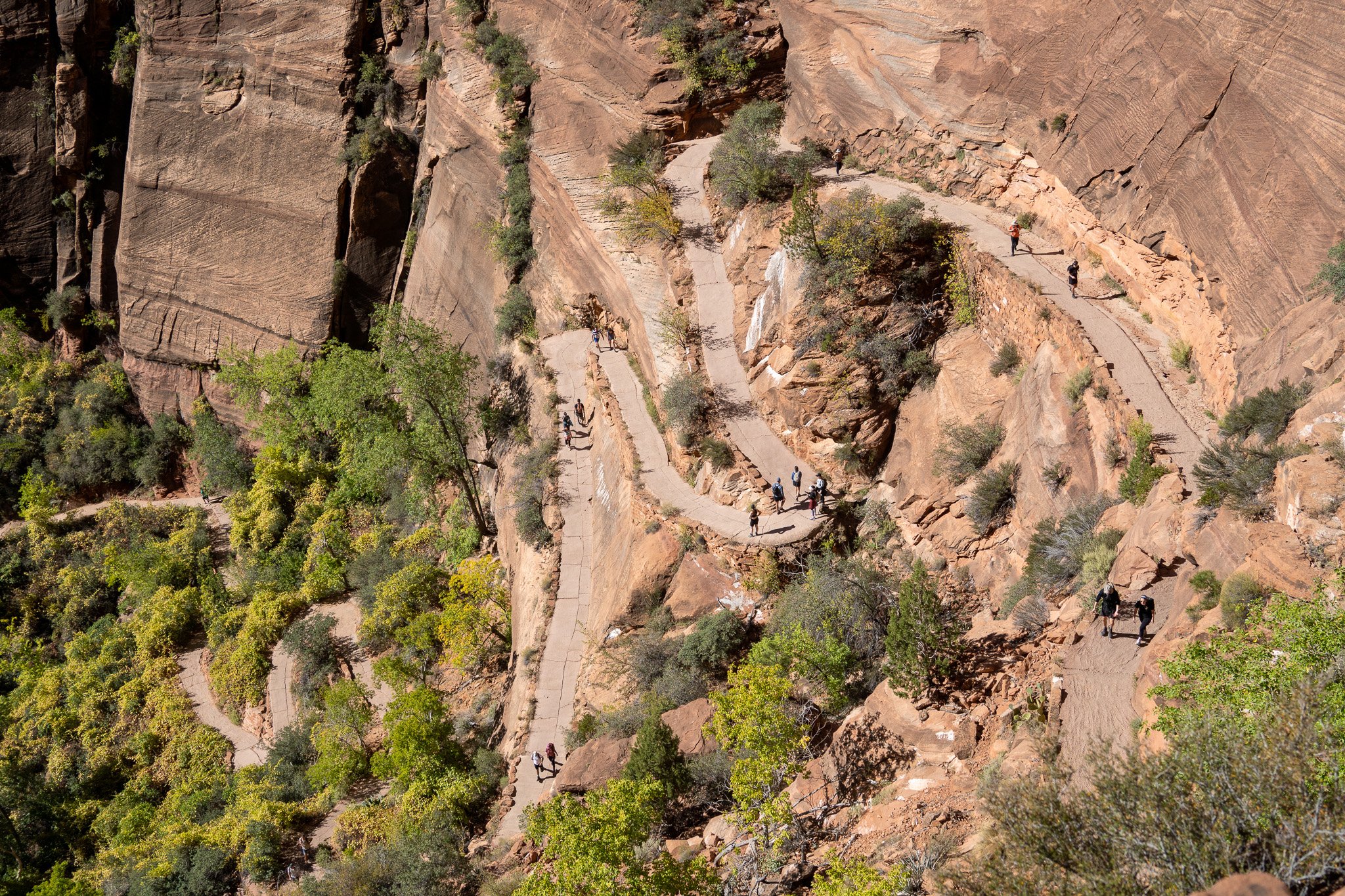 switch backs in the sun, zion, utah, usa.jpg