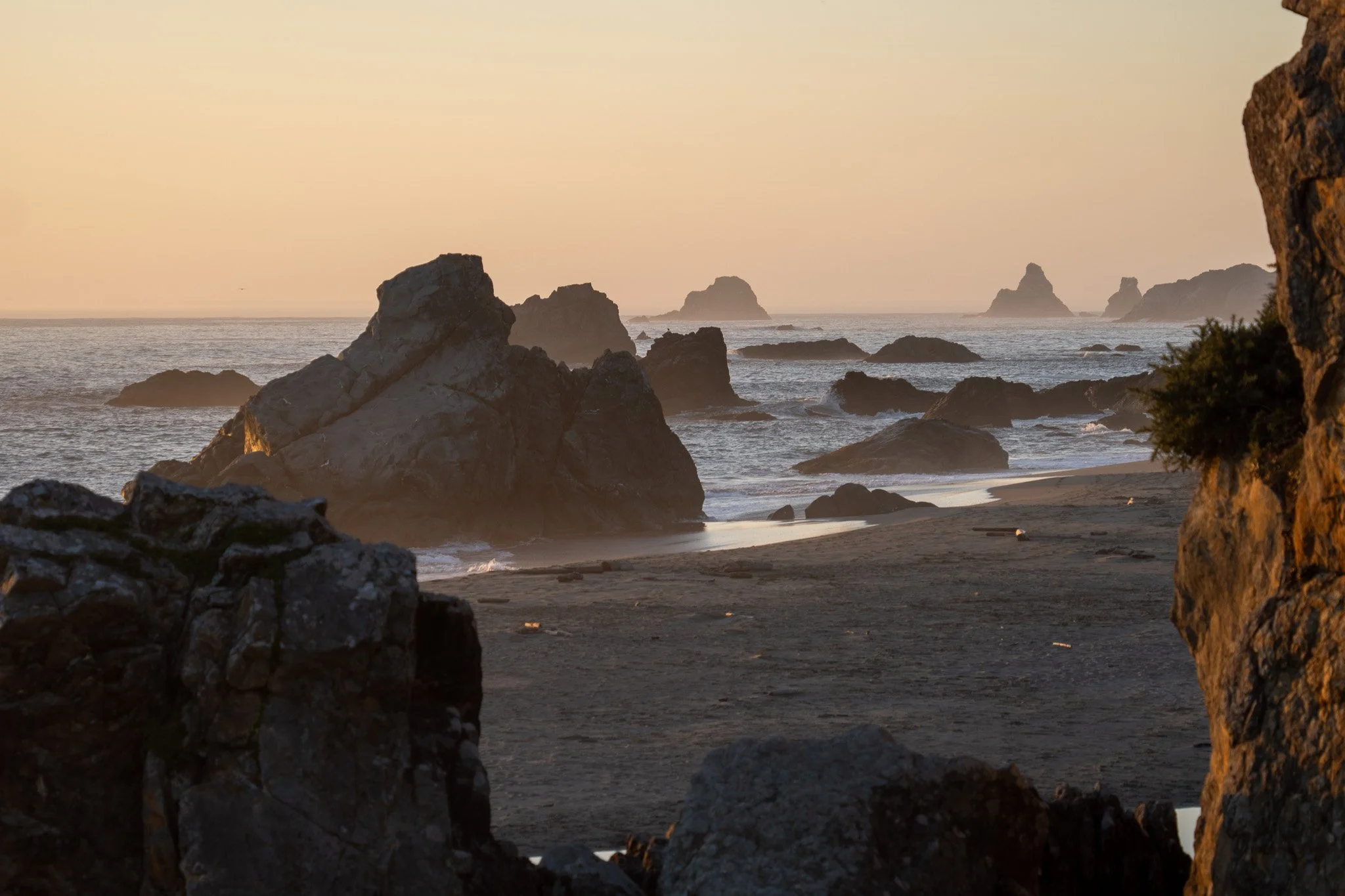 beach of harris beach during sunset, usa.jpg