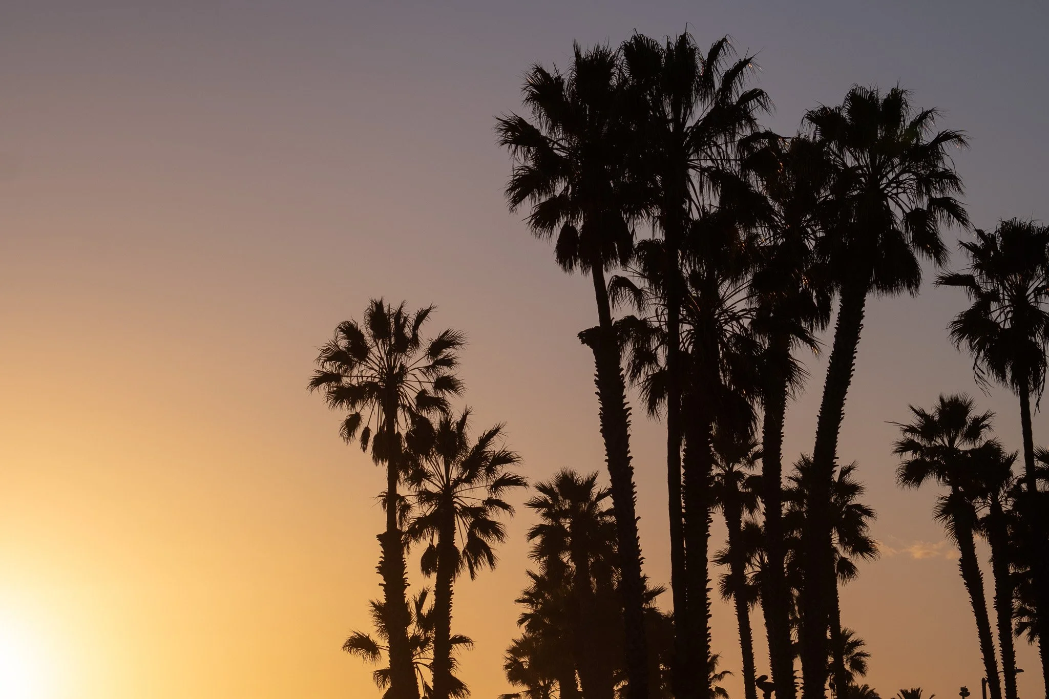 Coastal California, USA