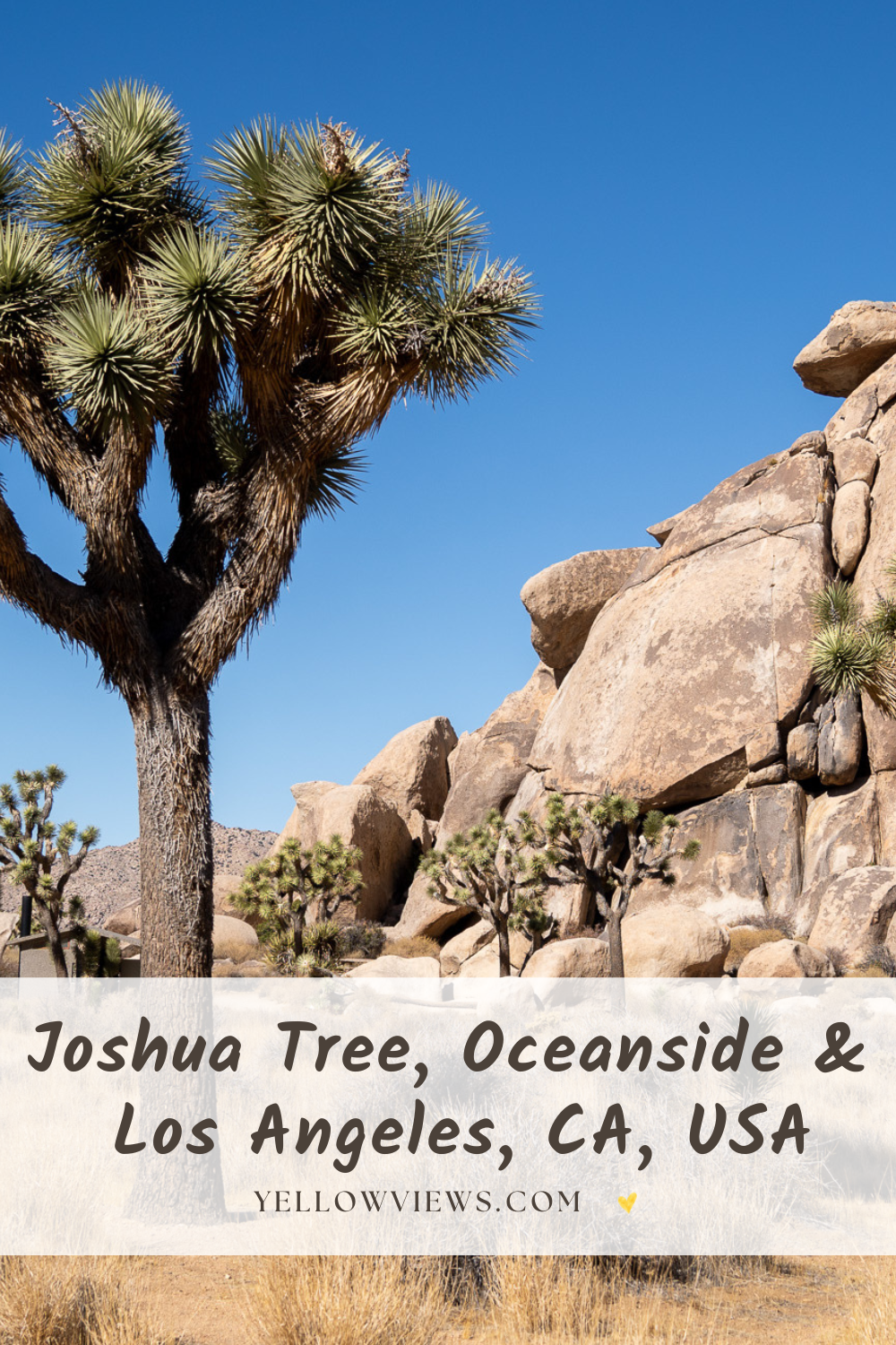 Joshua Tree, Oceanside, Los Angeles