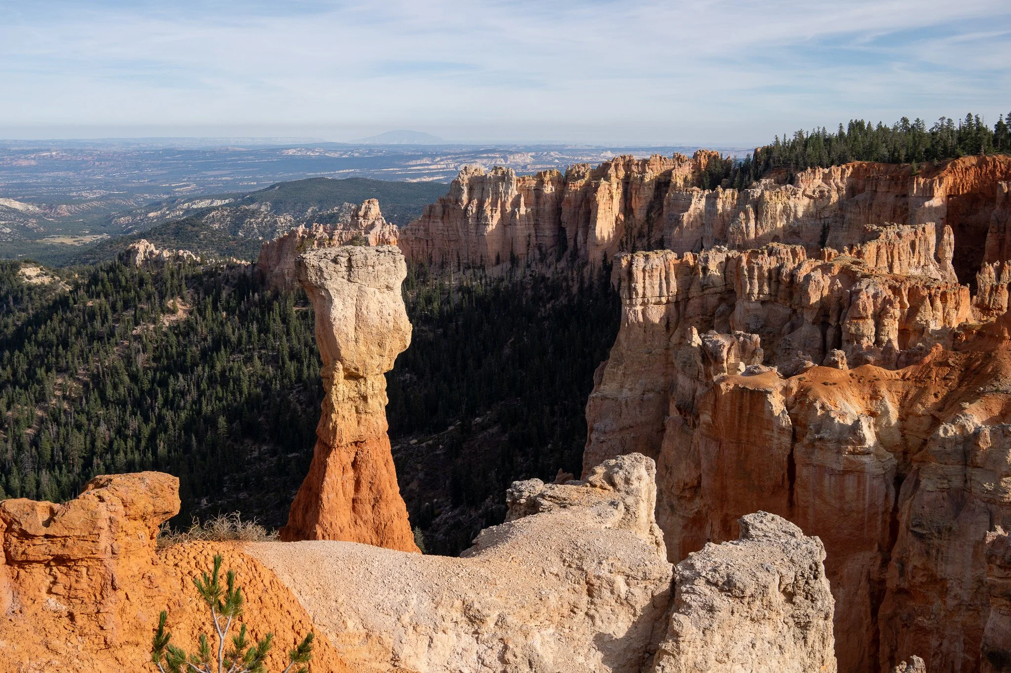 view of bryce canyon national park, usa.jpg