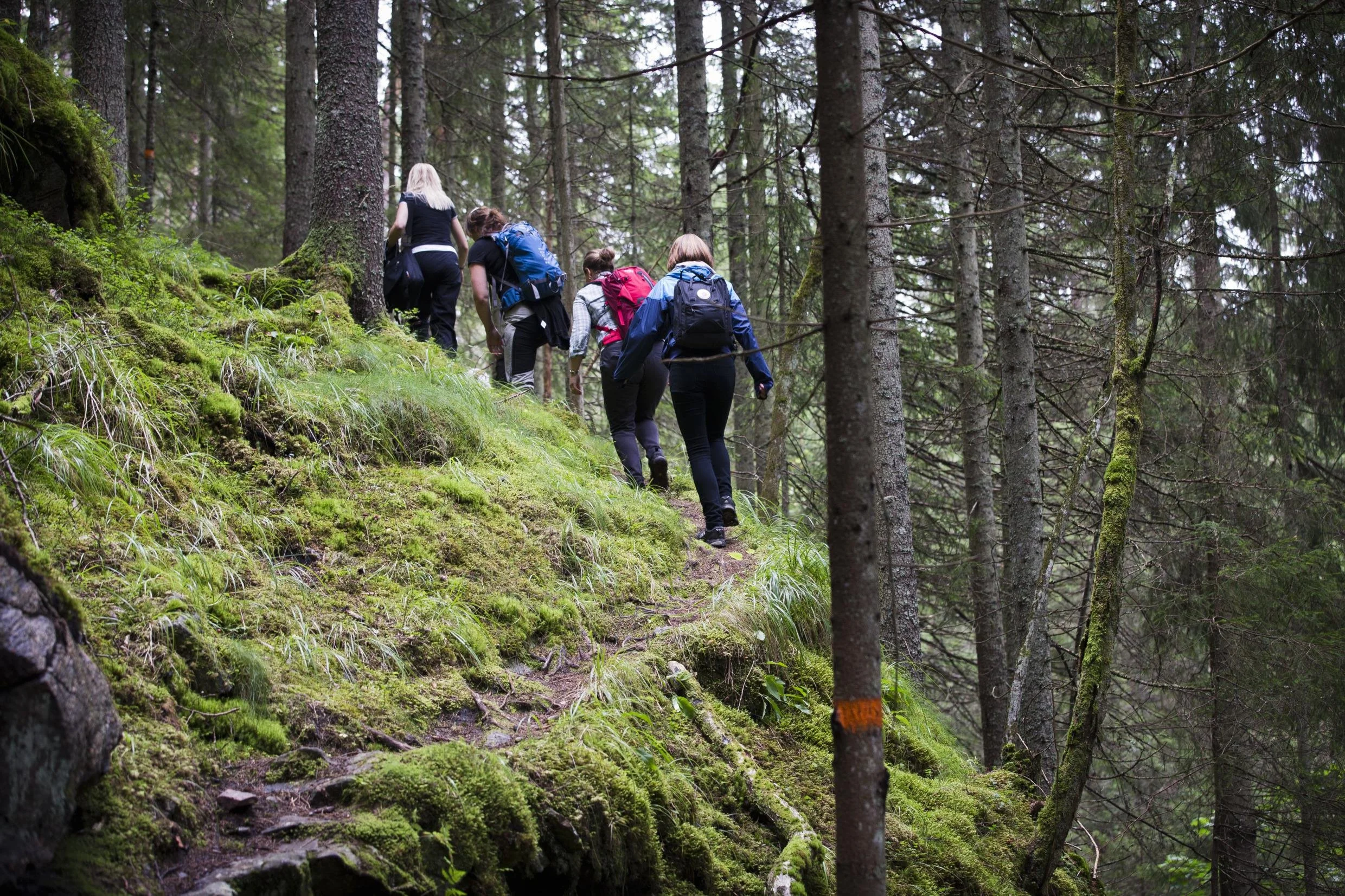 women hiking for exercise.jpg