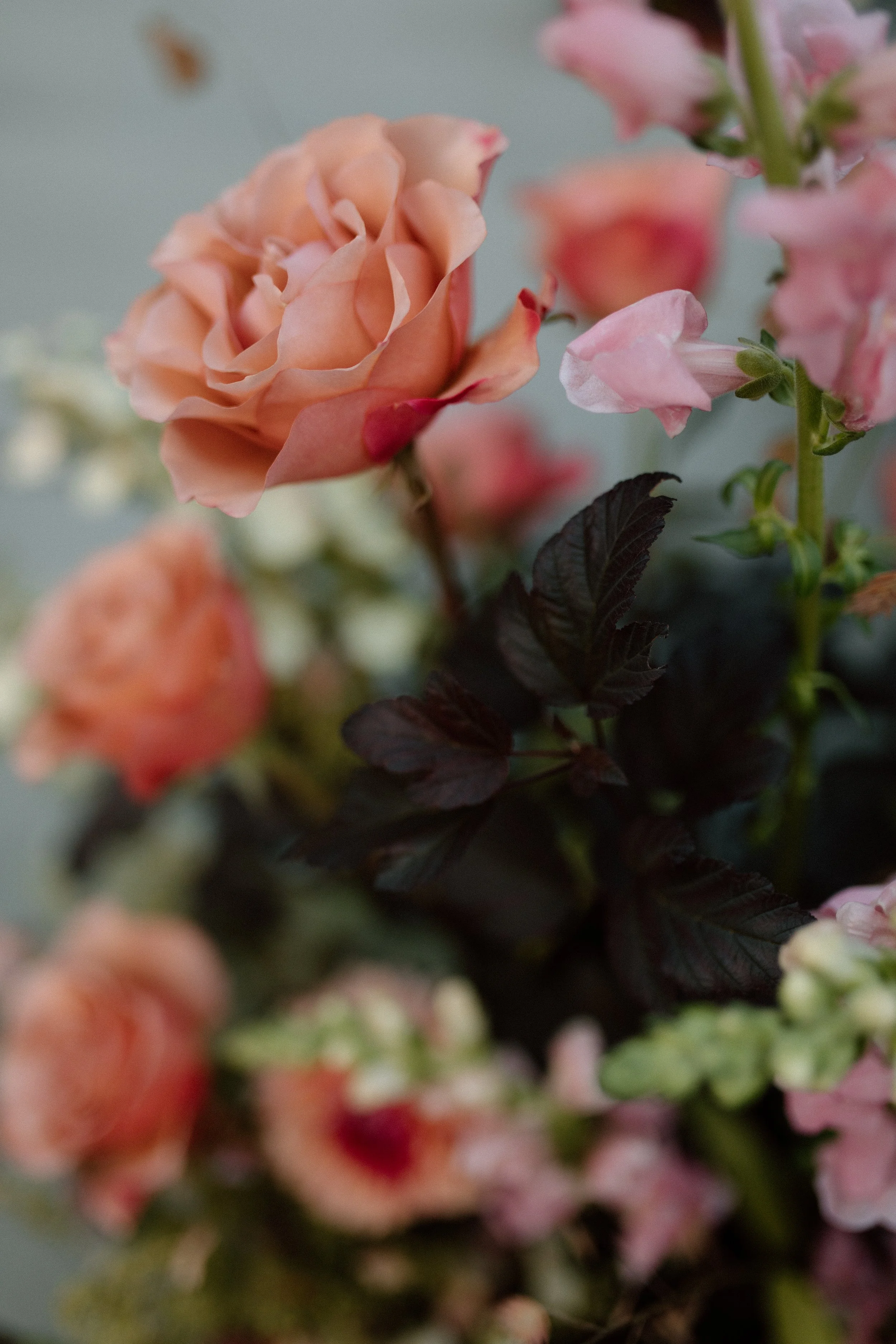 Cassidy + Henry-3612.jpg