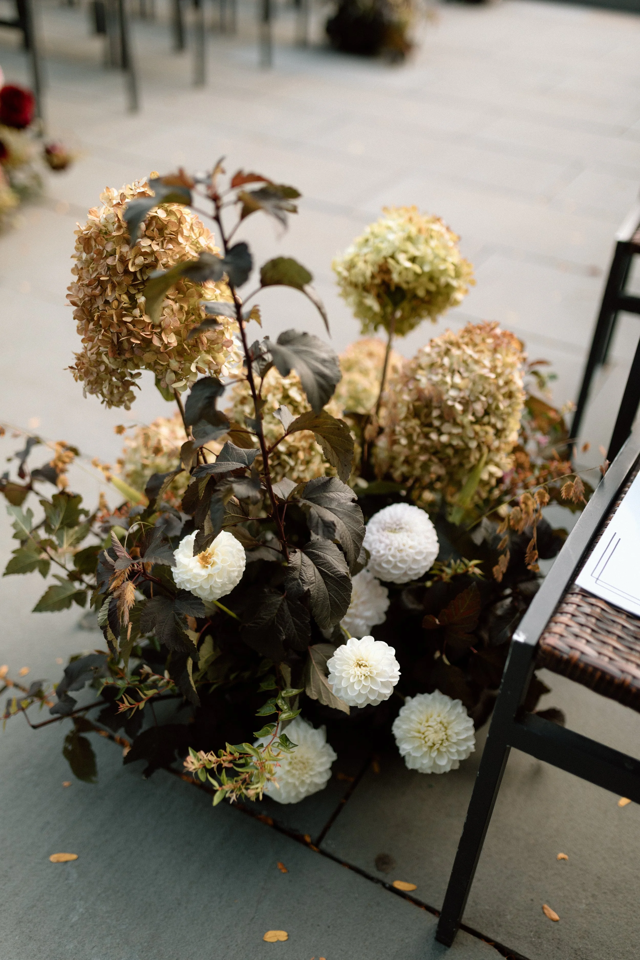 Cassidy + Henry-357.jpg