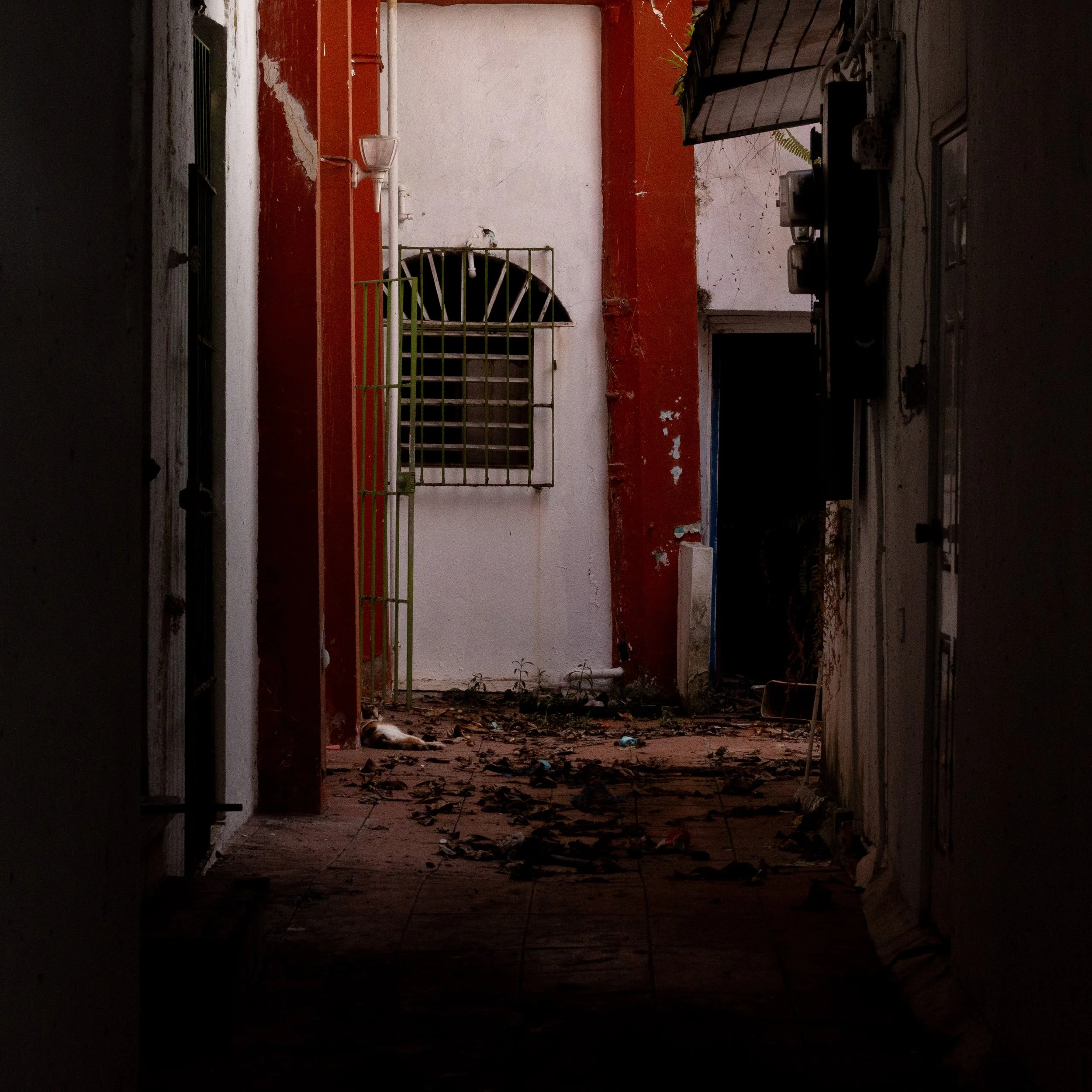 IMG_6008 - Copy.jpg