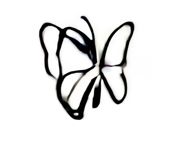 Live butterfly release — Live Butterfly Services