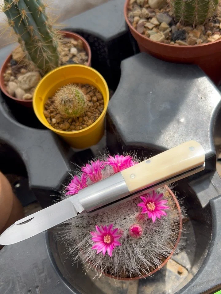 Yes, I like to build mini barlow&rsquo;s 😃 here another one ! O2 blade/spring 416 stainless, soldered bolsters and mammoth ivory . Will be available at @knife_solingen  next May 9/10 2026. Save the date!