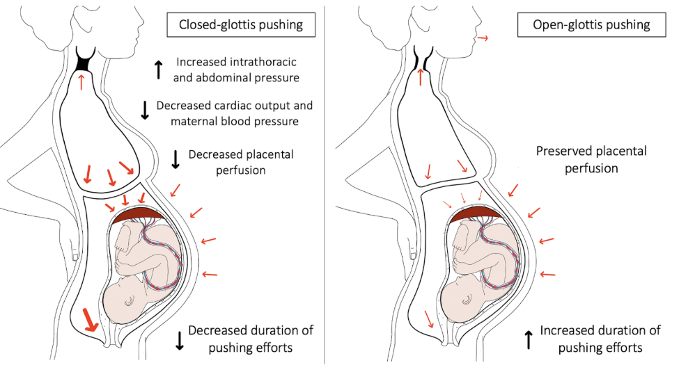 Open or Closed Glottis Pushing? The Verdict is in!&nbsp;