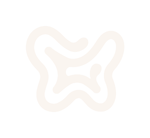 The Pelvic Institute - Chicago Physical Therapy Clinic