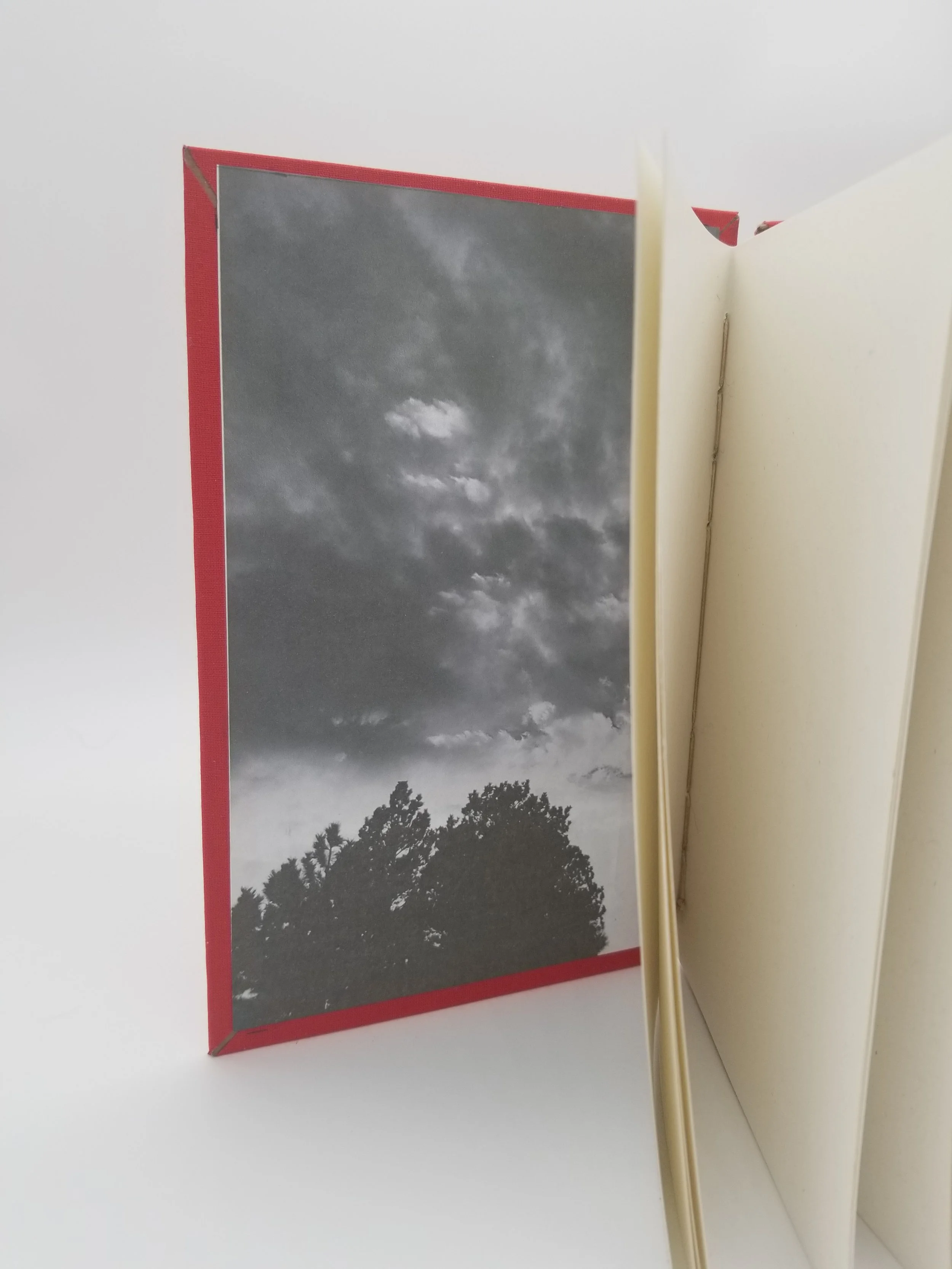 Coptic stitch inside front cover.jpg