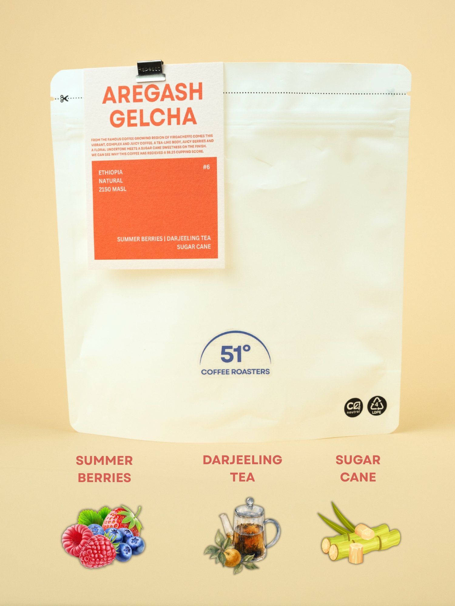 Aregash Gelcha