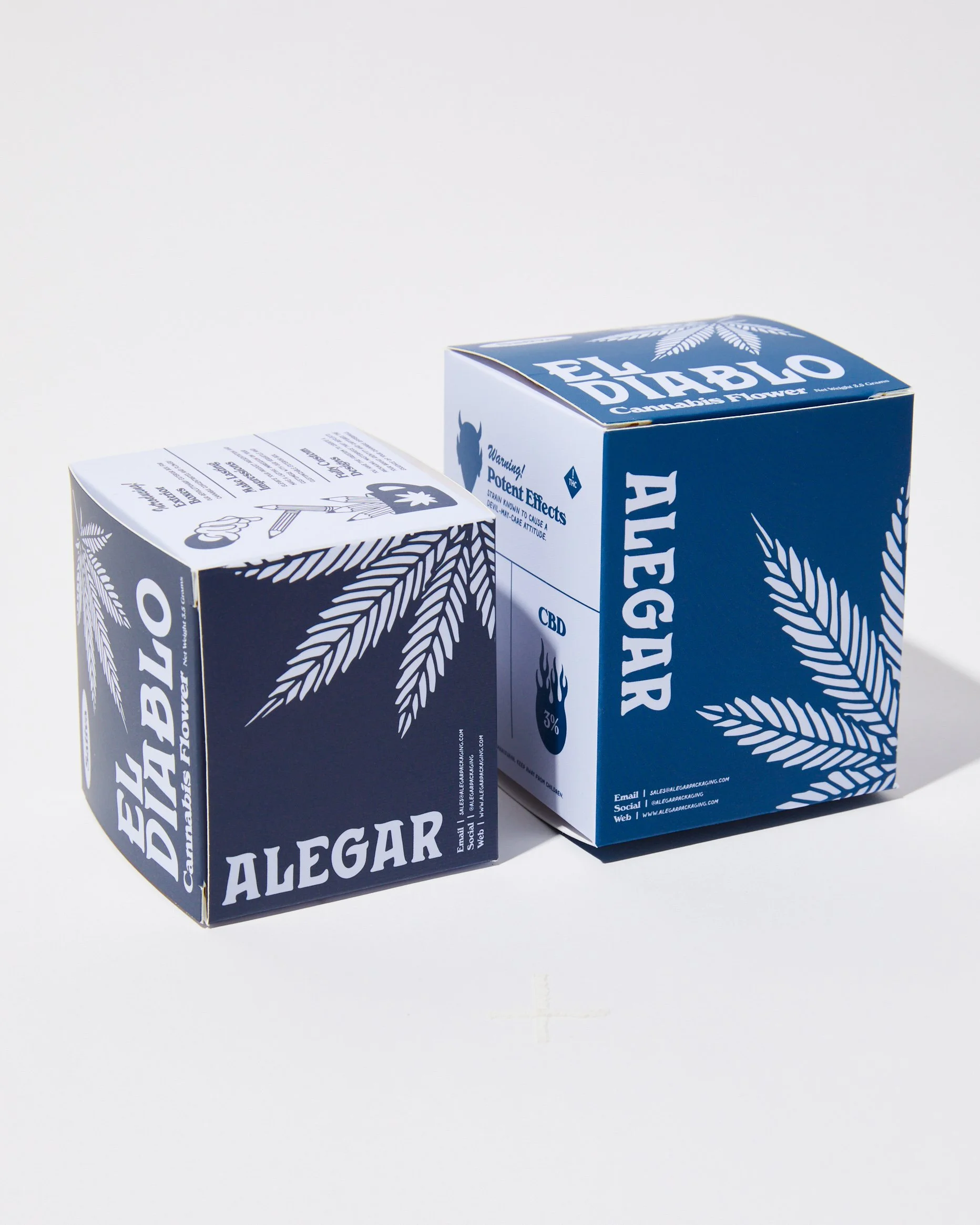 FLOWER JAR BOXES