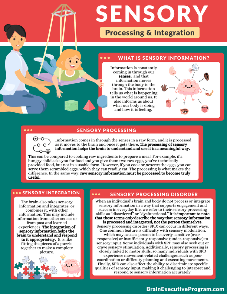 Executive brain health program for cognitive enhancement