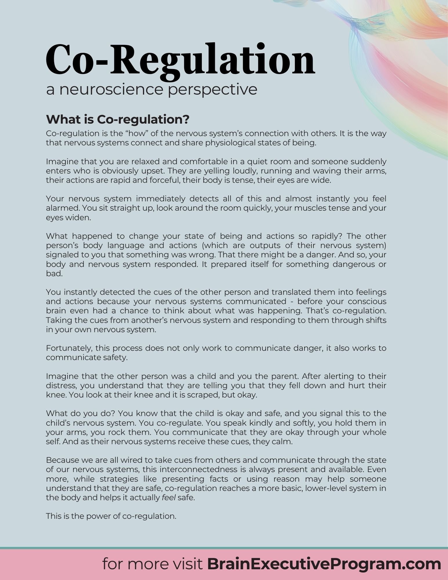2CopCo-Regulation Polyvagal Theory Brain Executive Program.jpg