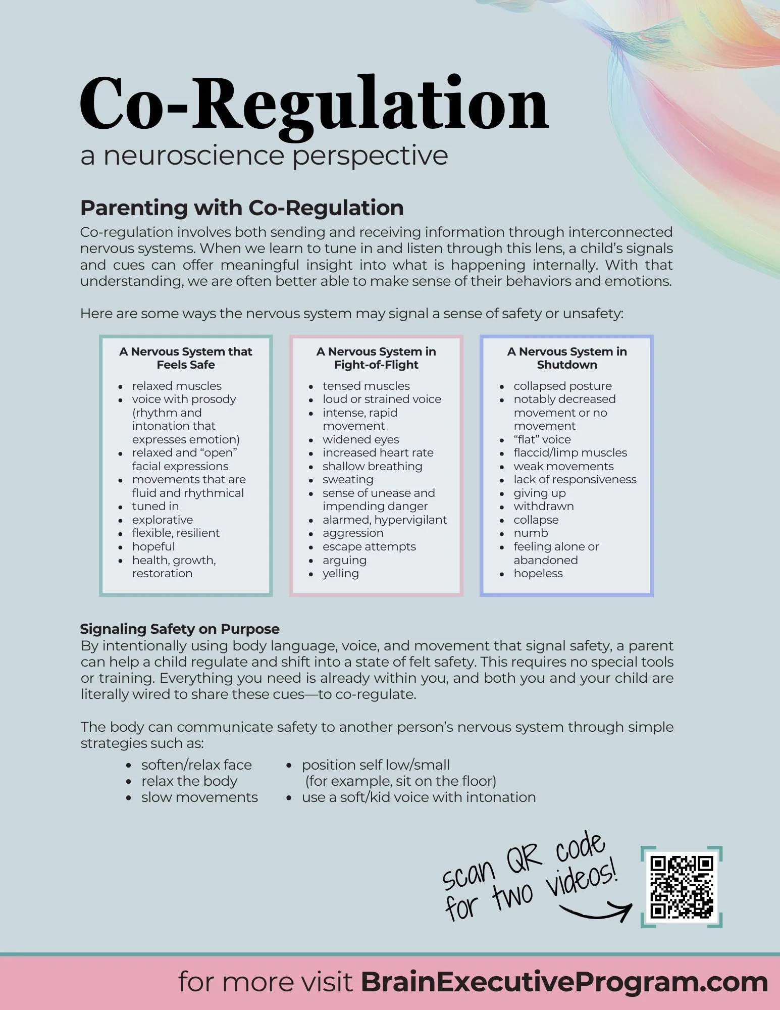 3CopCo-Regulation Polyvagal Theory Brain Executive Program.jpg
