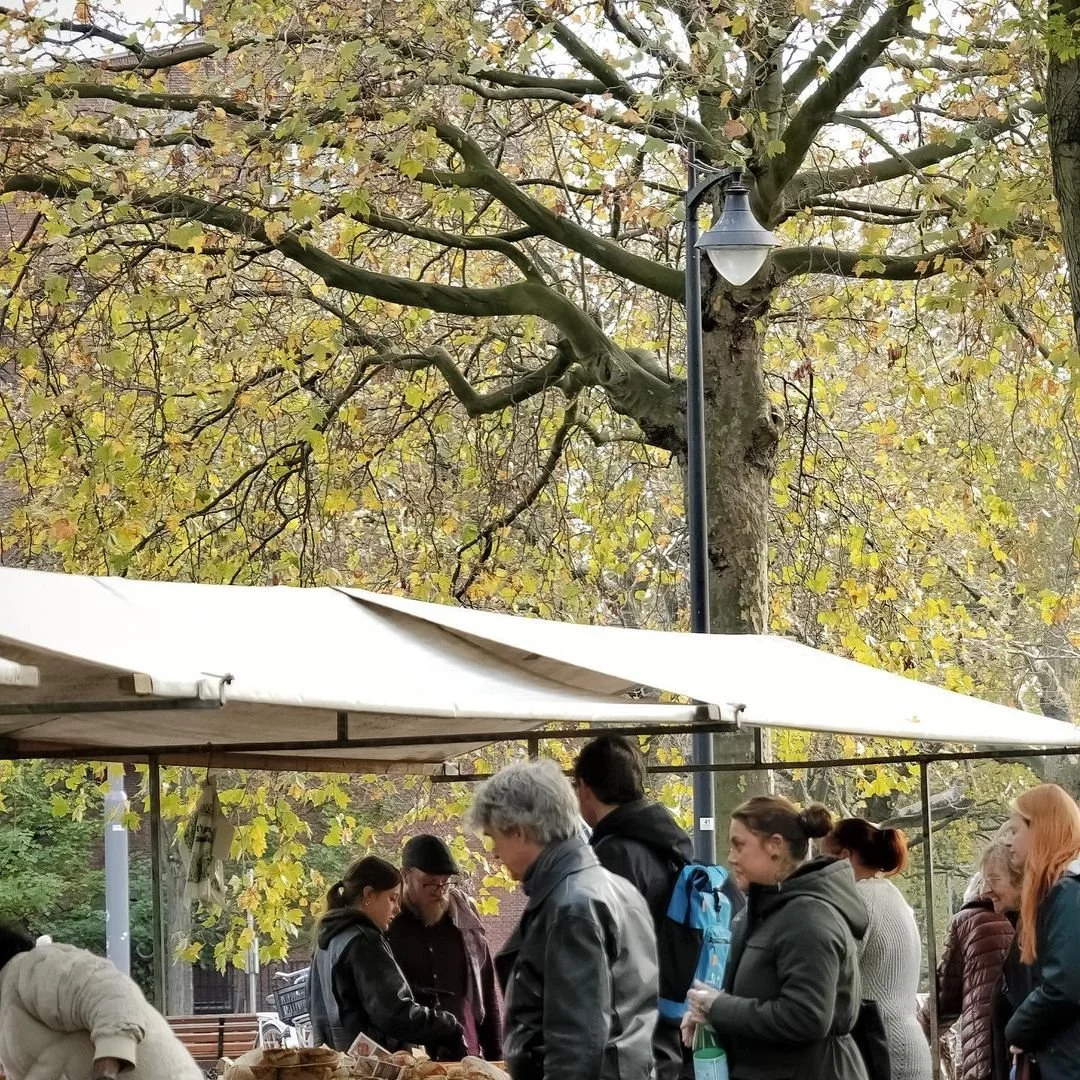 We are at @rotterdamseoogst on 16th Nov. see you soon..jpg