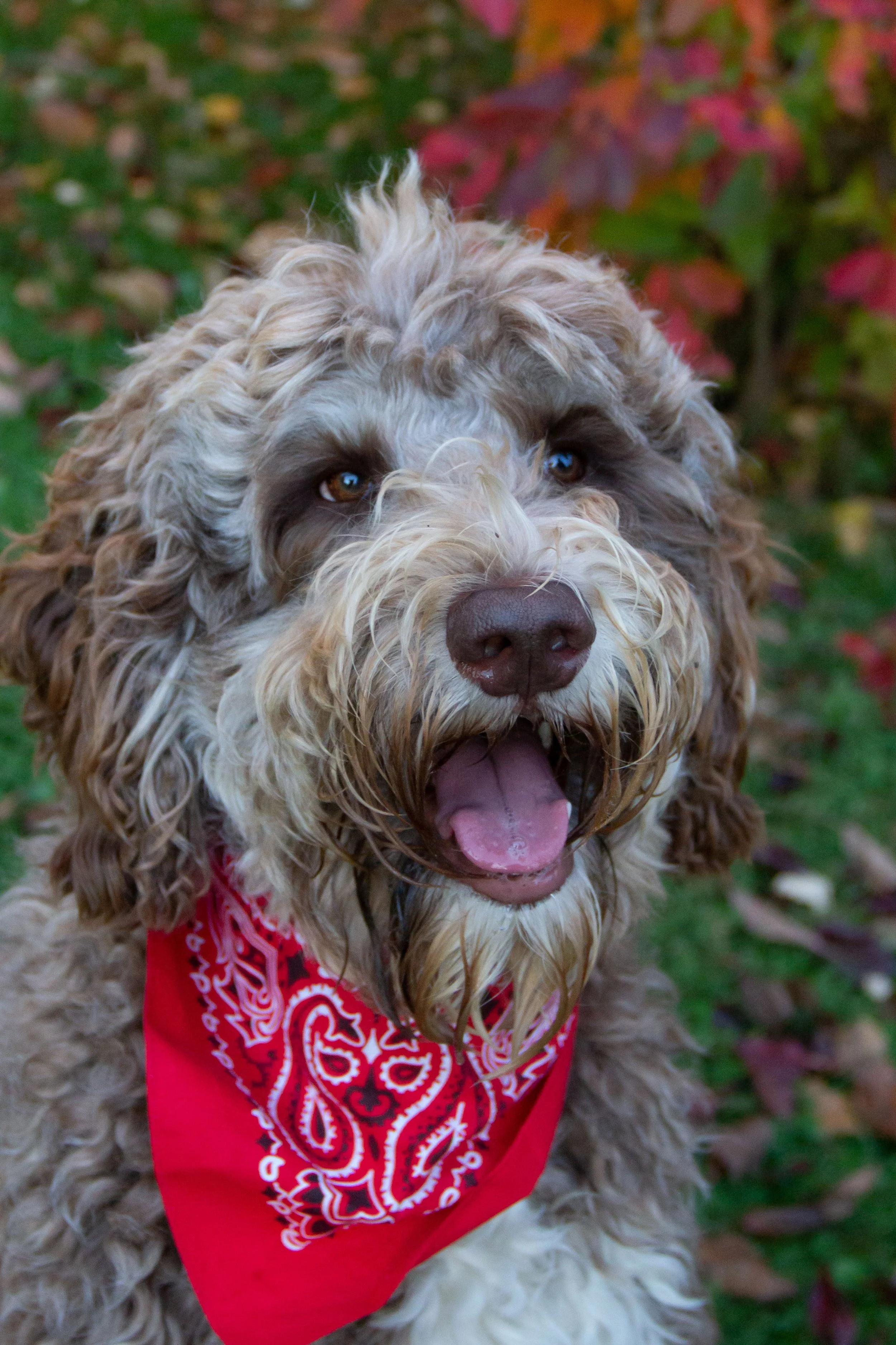 JakeAndTitus2020-1 copy.jpg