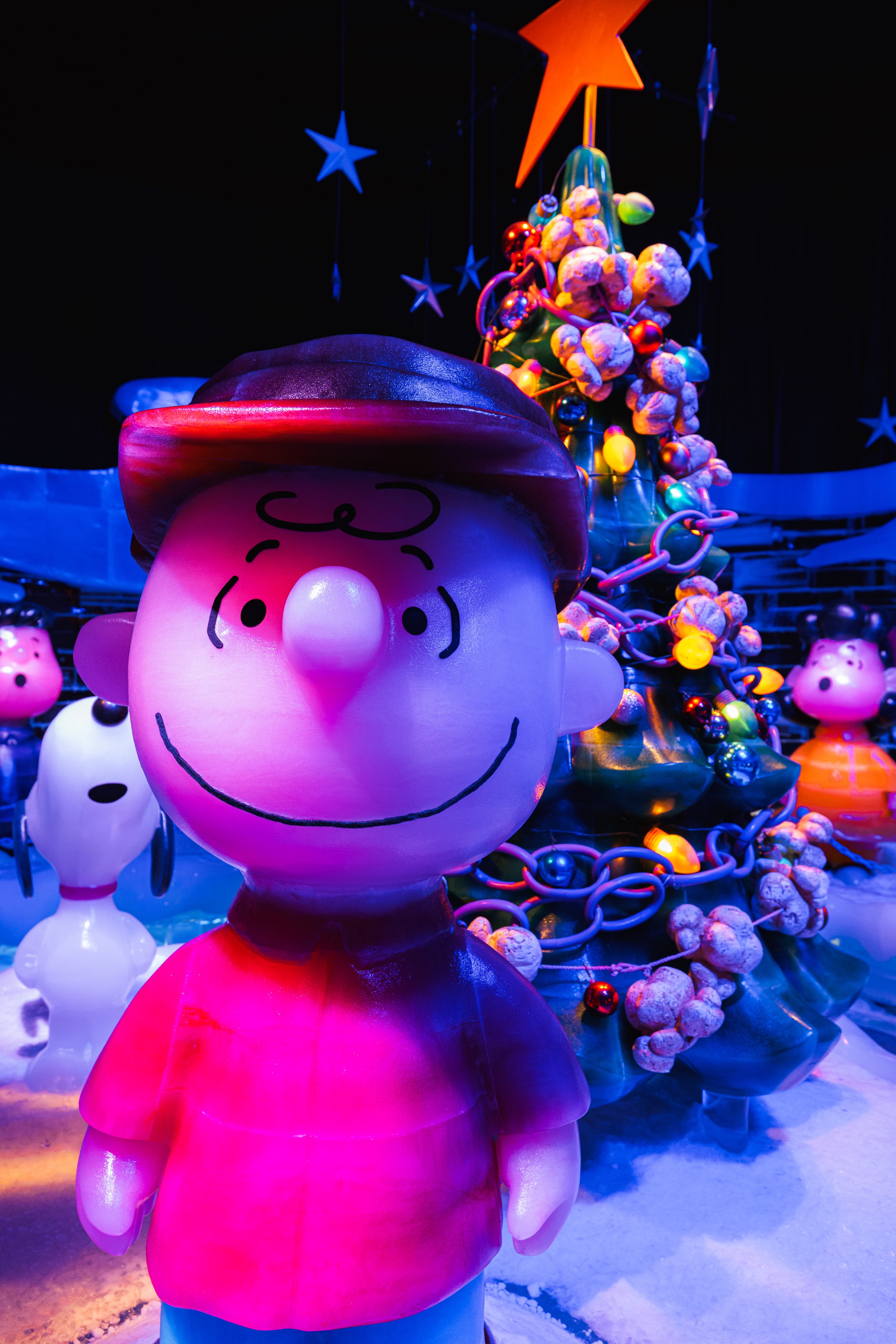 Photo Dec 17 2025, 3 16 50 PM.jpg