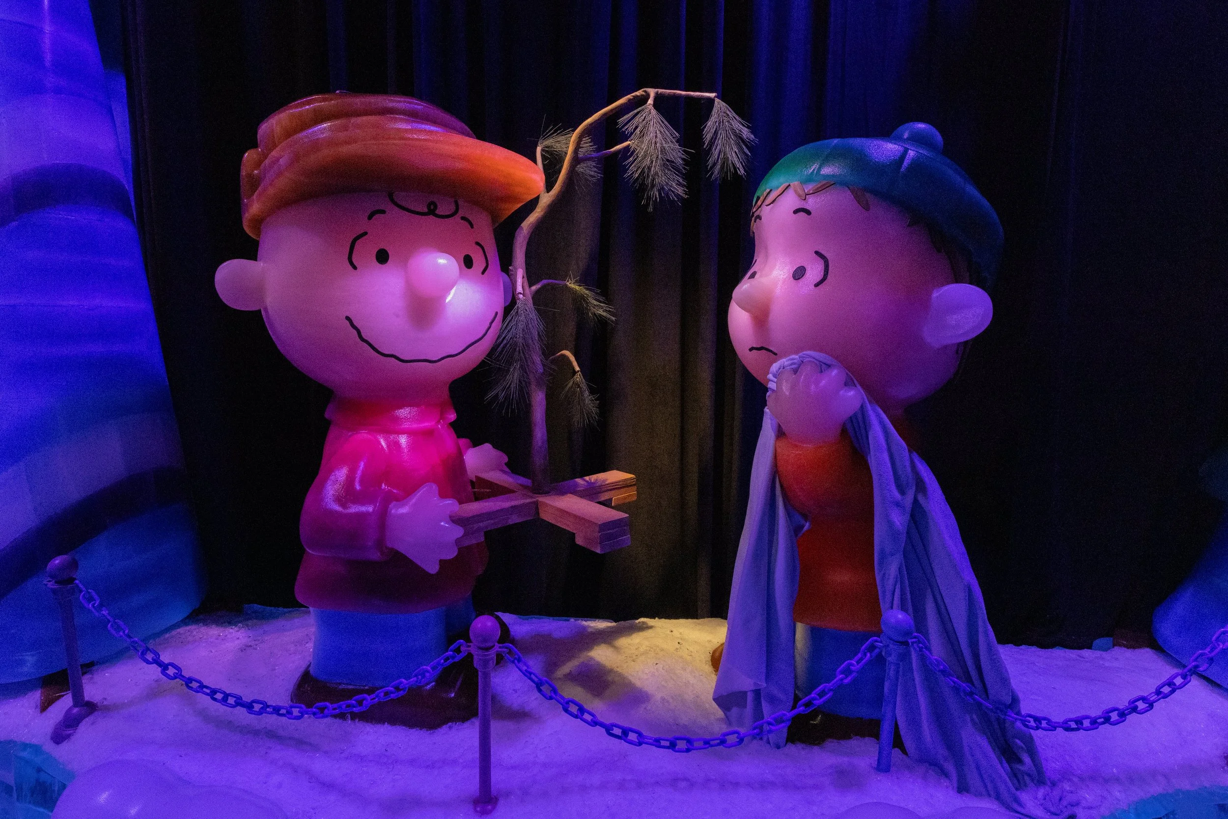 Photo Dec 17 2025, 3 04 57 PM.jpg