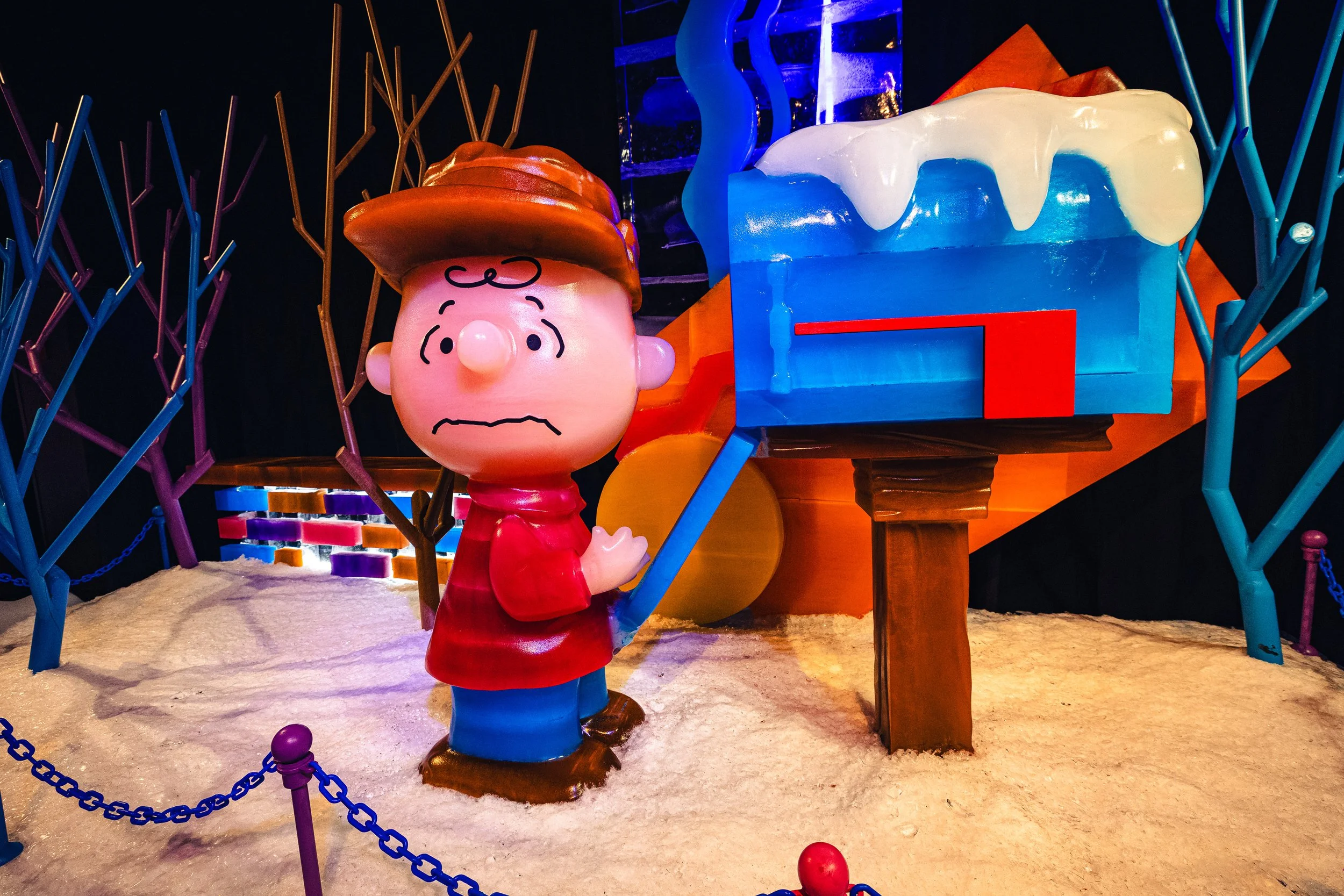 Photo Dec 17 2025, 2 51 51 PM.jpg