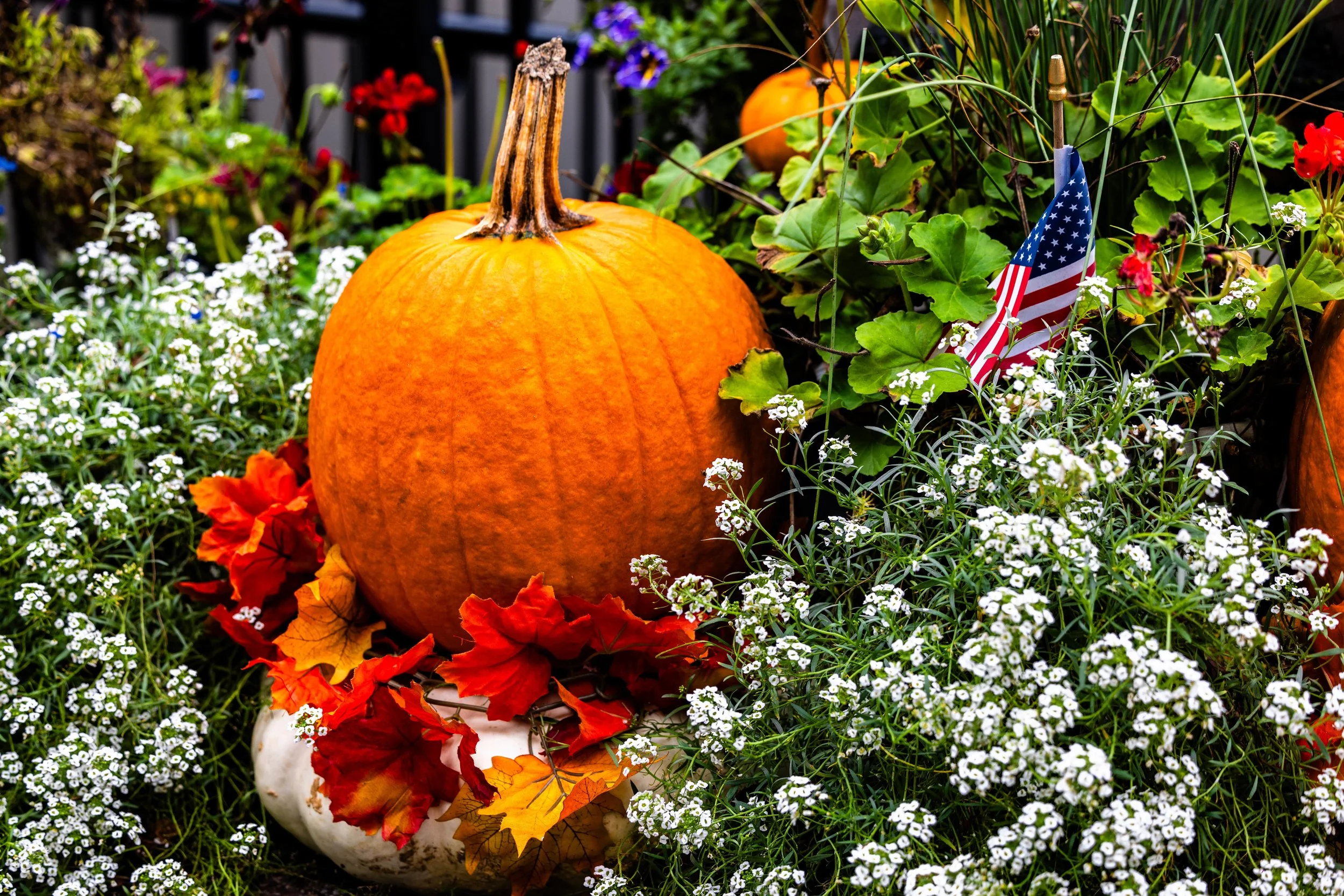 Photo Sep 27 2025, 2 59 14 PM-min.jpg