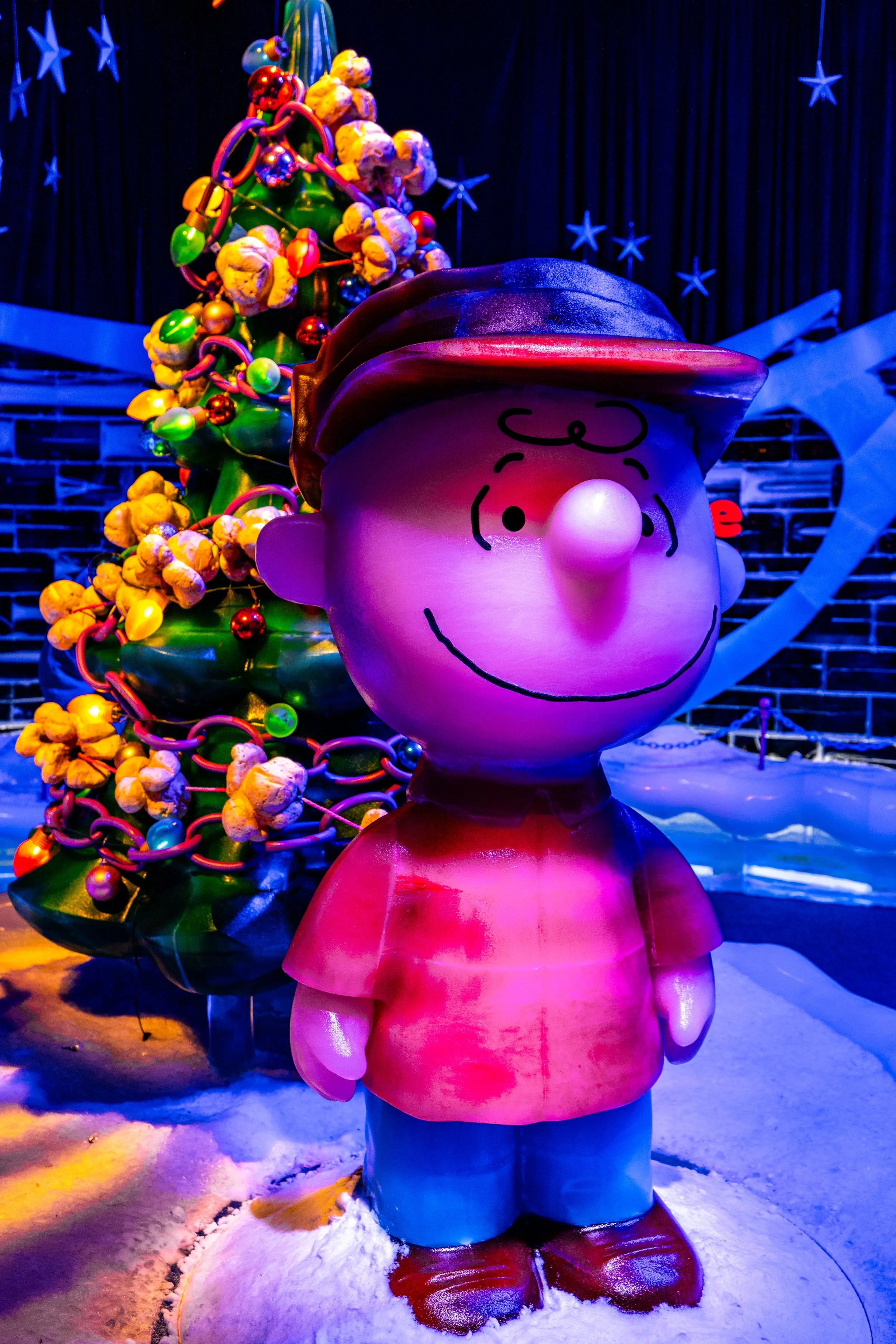 Photo Dec 17 2025, 3 12 16 PM.jpg