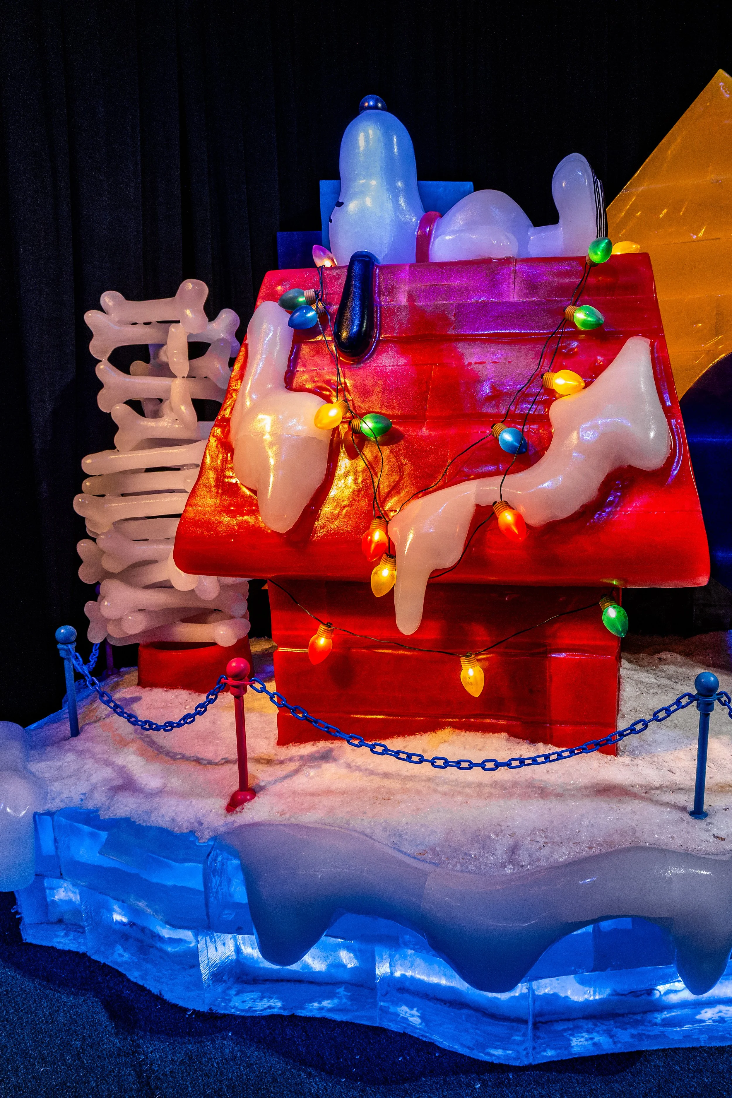 Photo Dec 17 2025, 2 47 22 PM.jpg