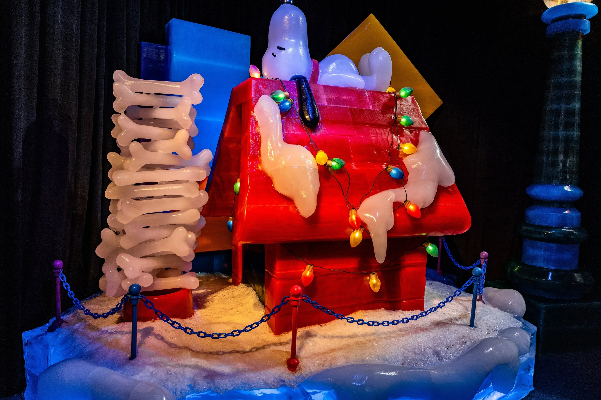 Photo Dec 17 2025, 2 47 06 PM-min.jpg