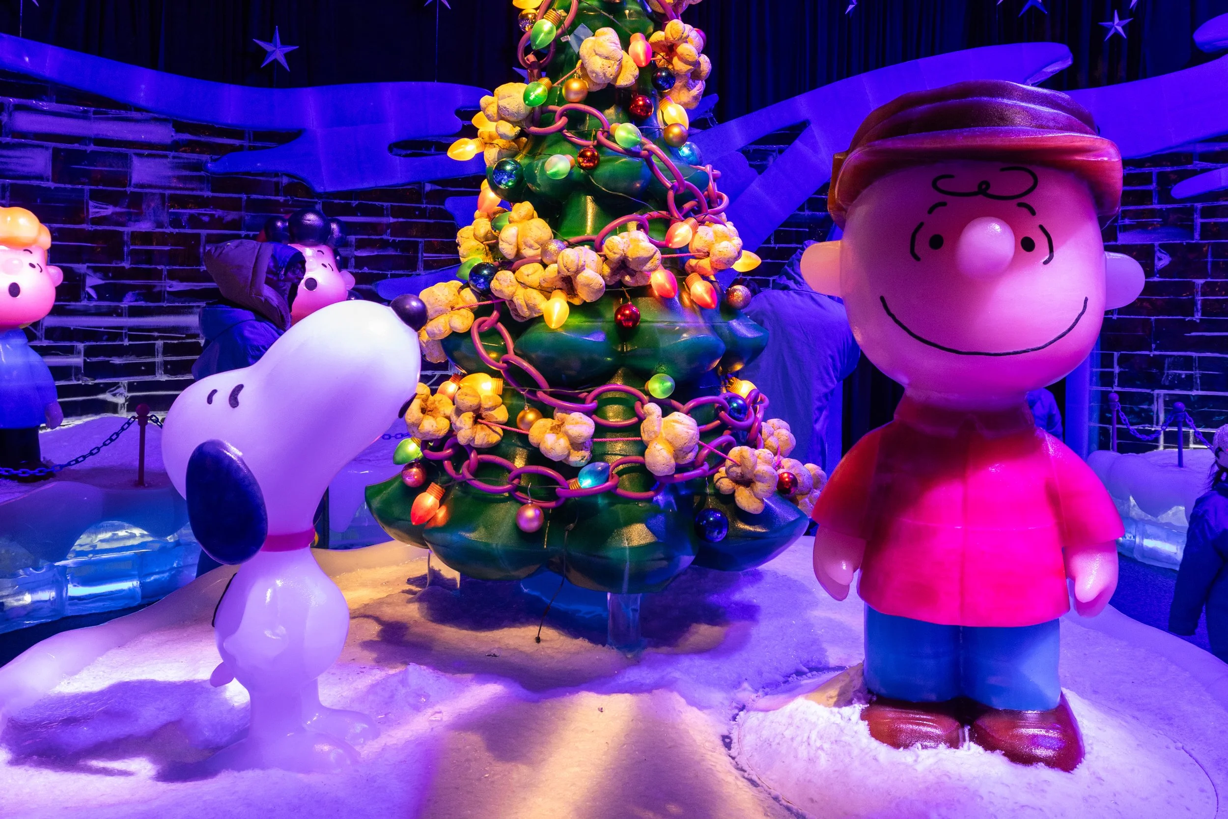 Photo Dec 17 2025, 3 13 20 PM.jpg