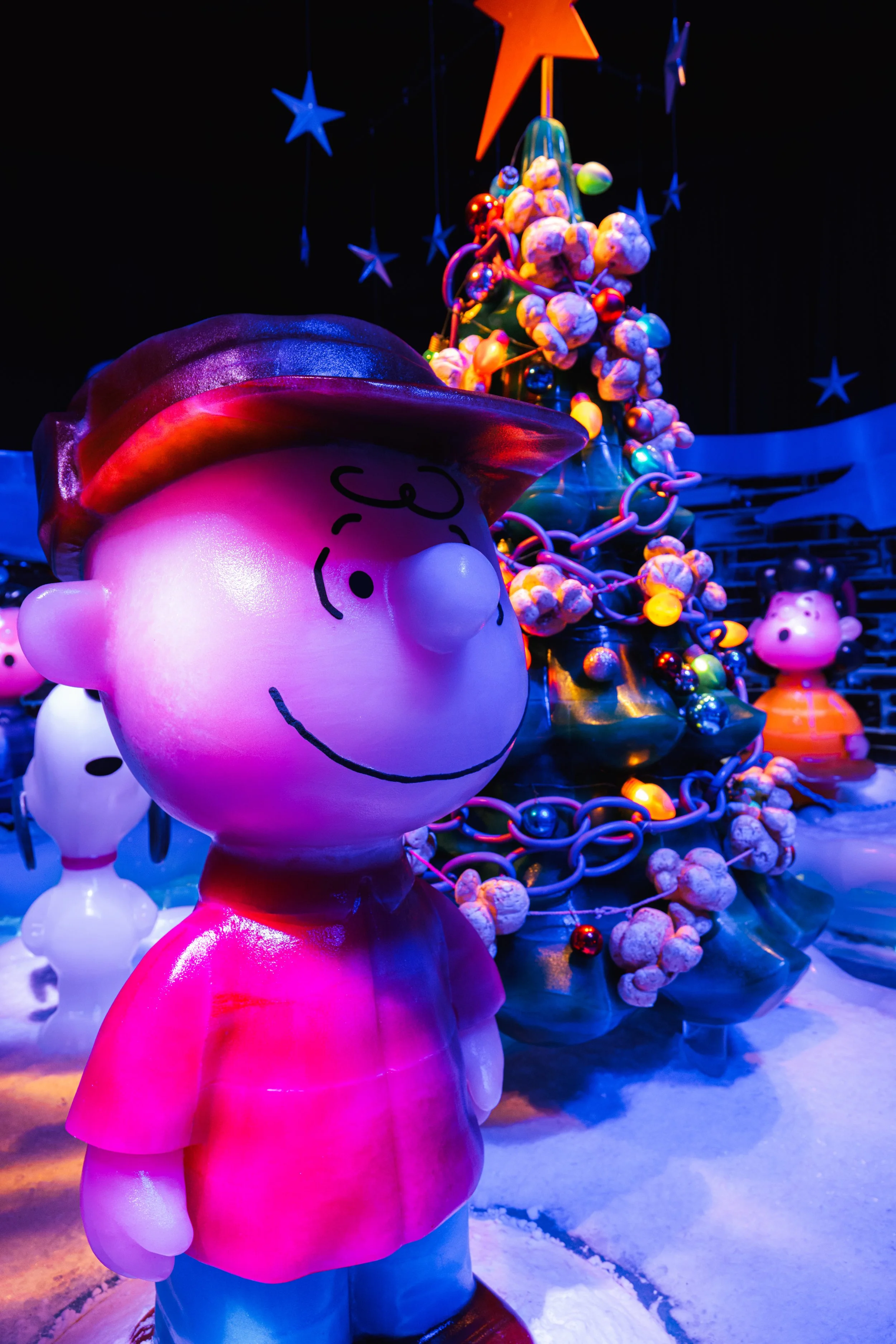 Photo Dec 17 2025, 3 16 44 PM.jpg