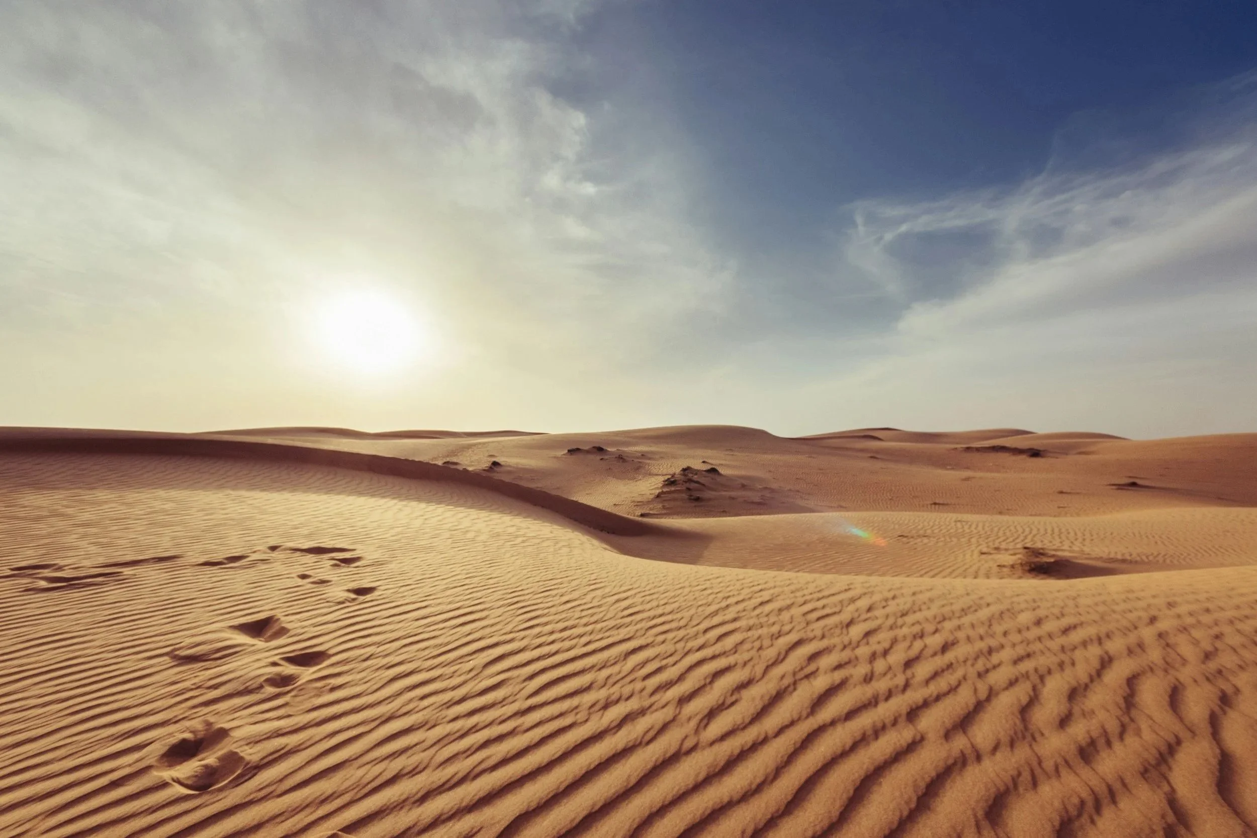 What the Desert Taught Me about the Kingdom