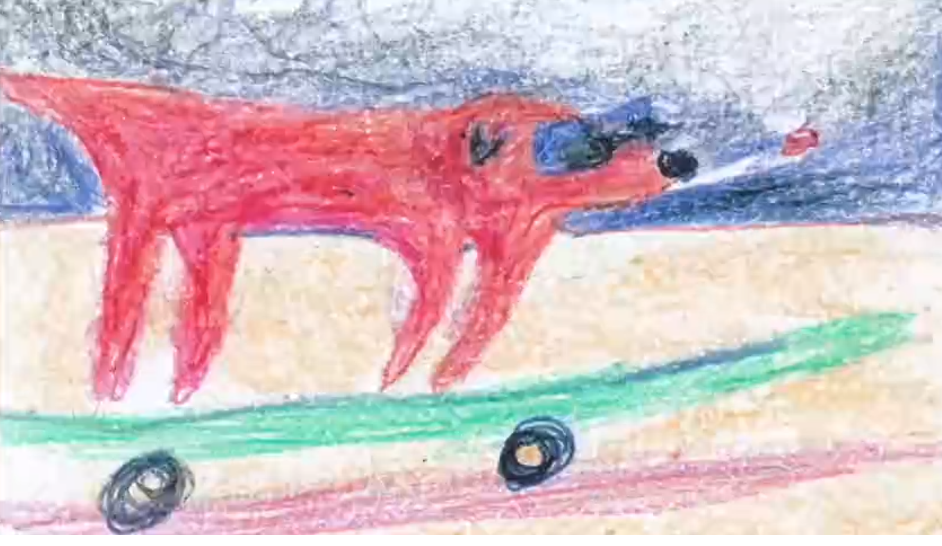Cool Dog