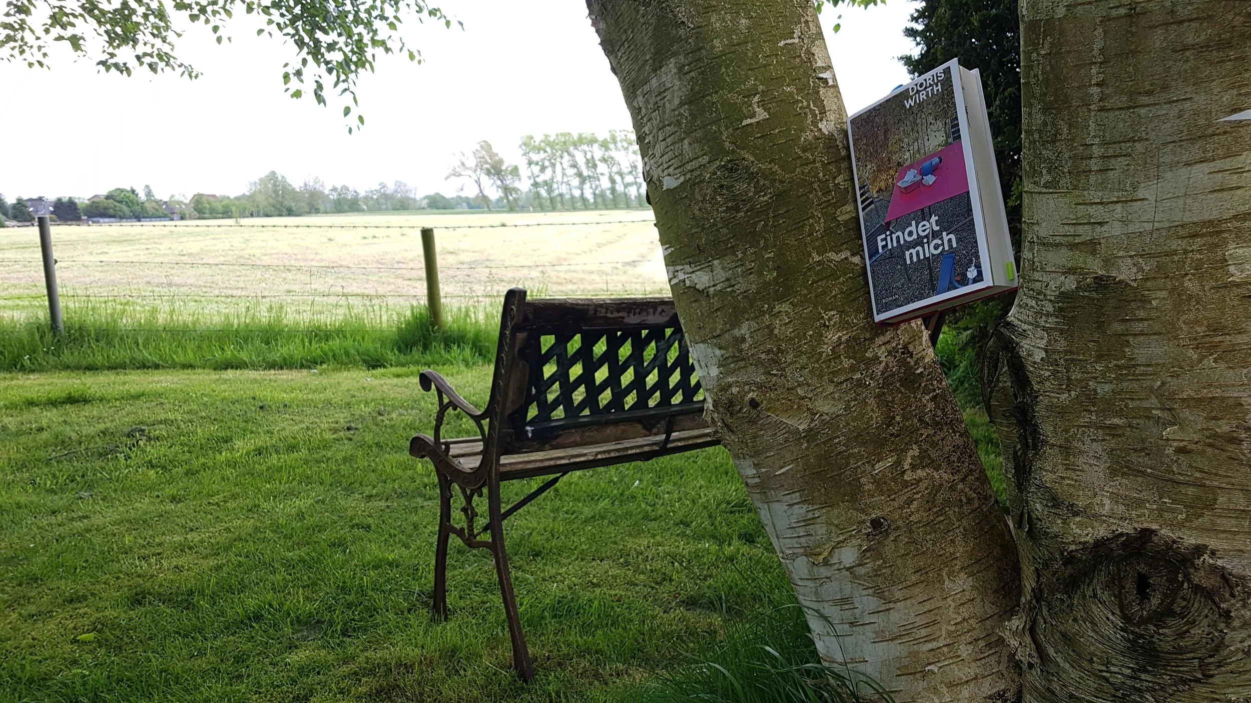 Sofalesung in St. Gallen