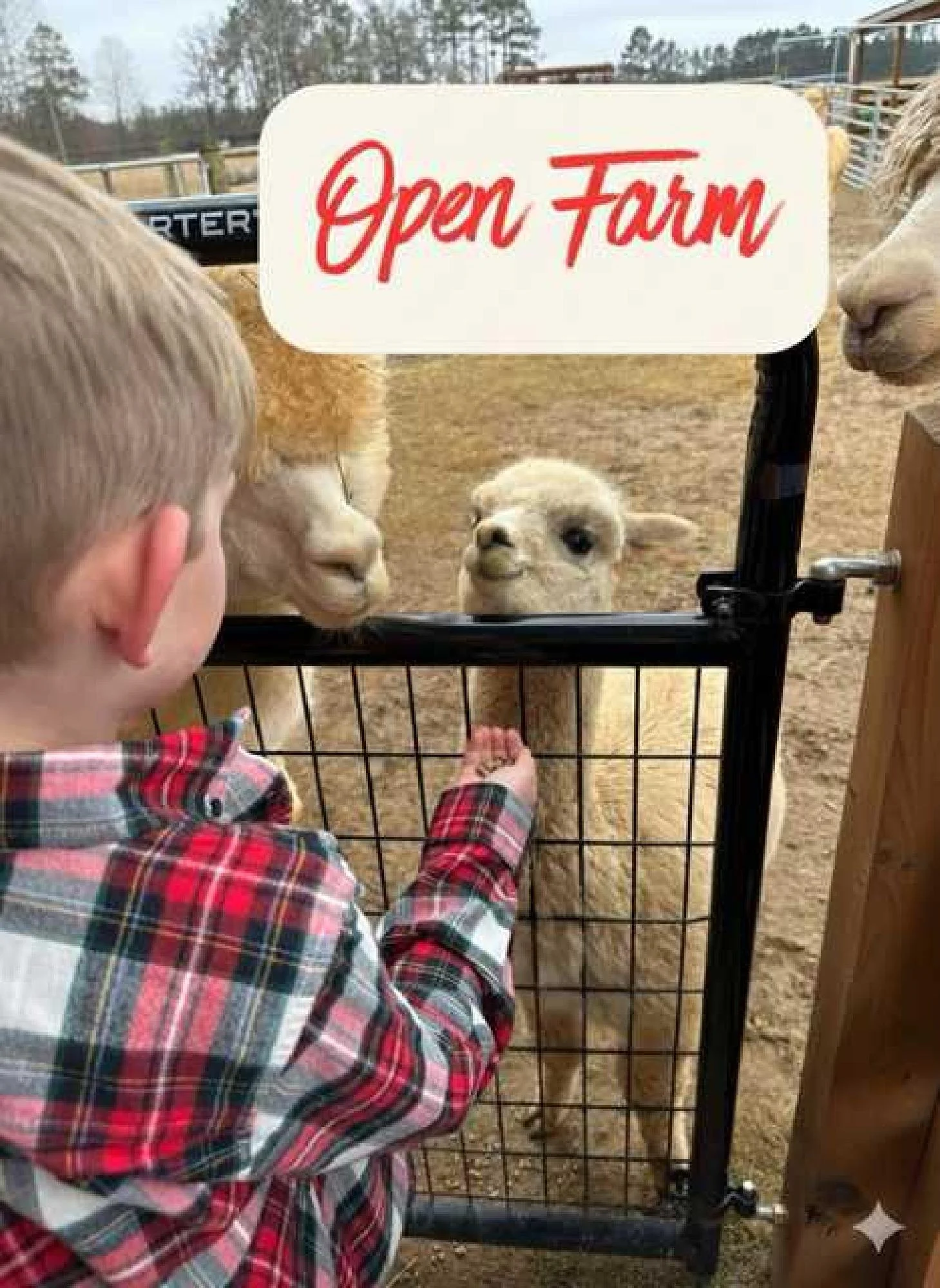 Open Farm