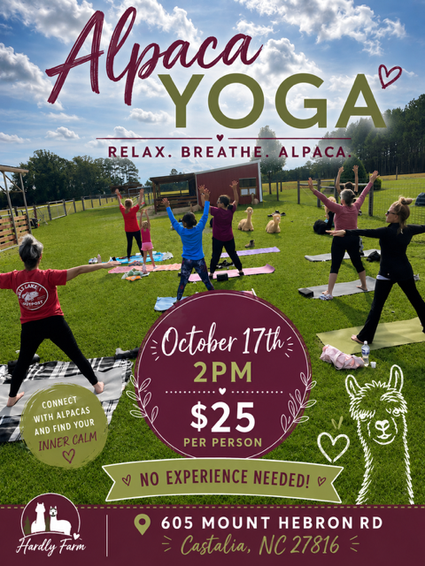 Alpaca Yoga