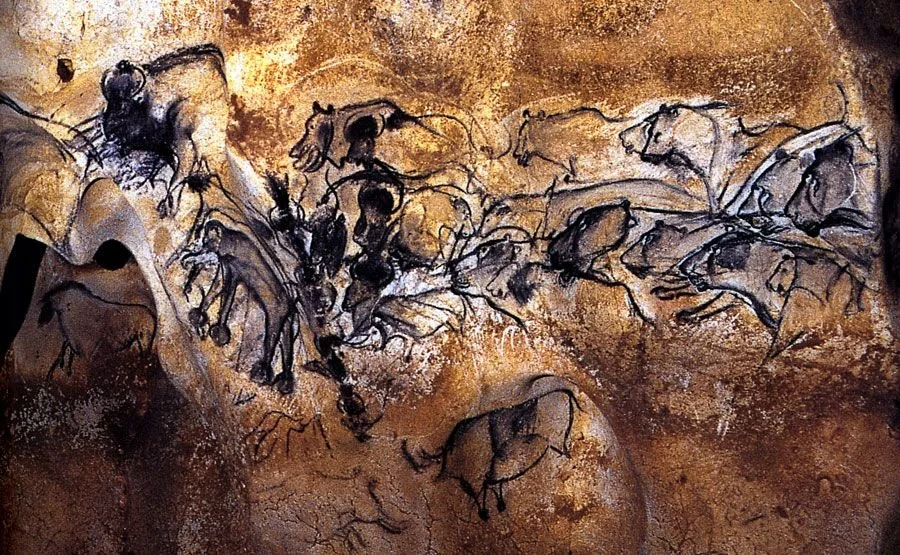 Cave lion drawings from Chauvet Cave, France