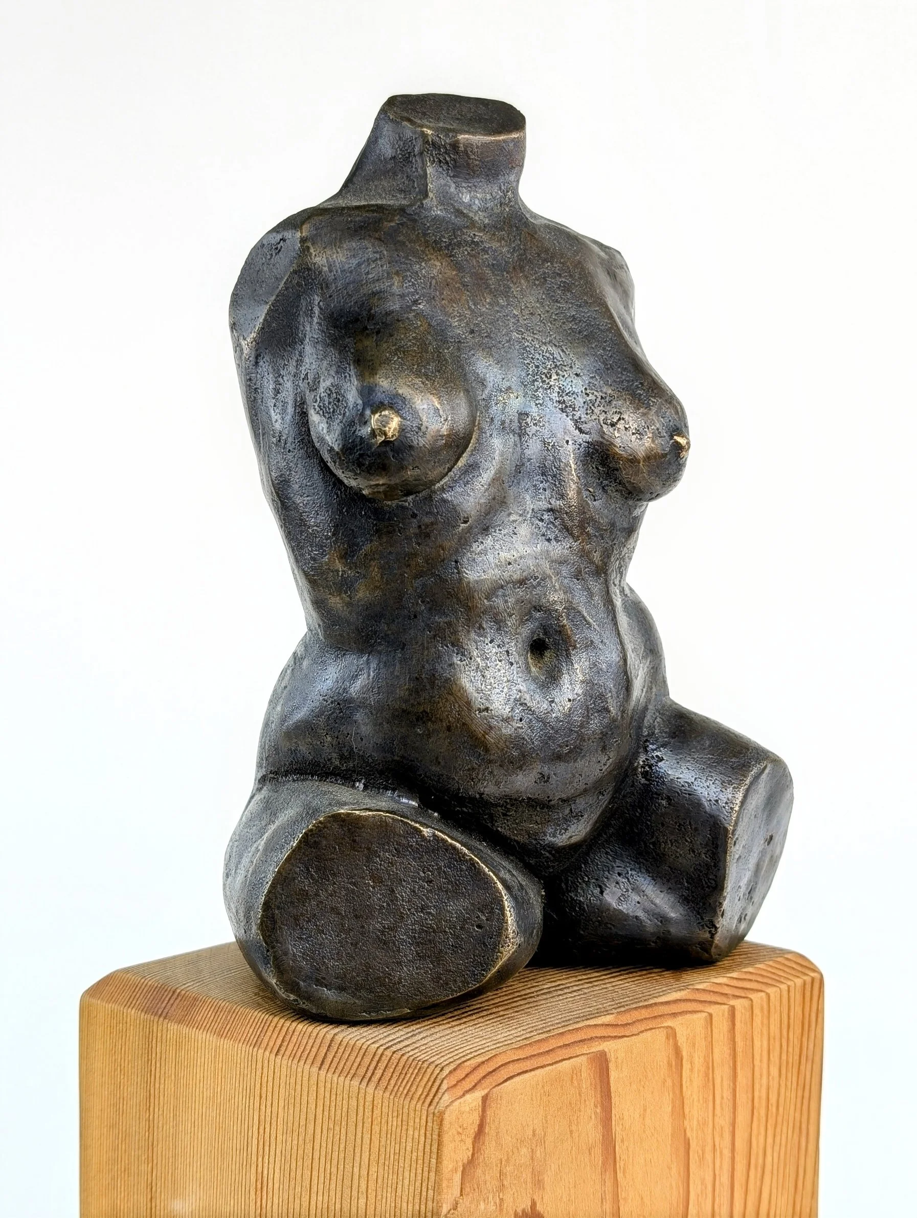 Bronze Study