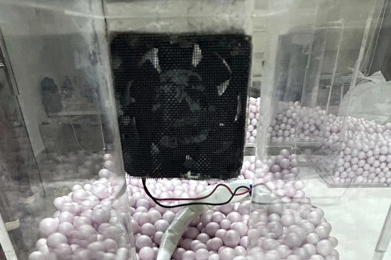 WhatsApp Image 2025-06-14 at 20.05.31_75147277.jpg