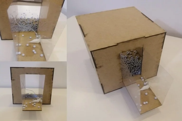 Screenshot 2025-06-14 181531.jpg