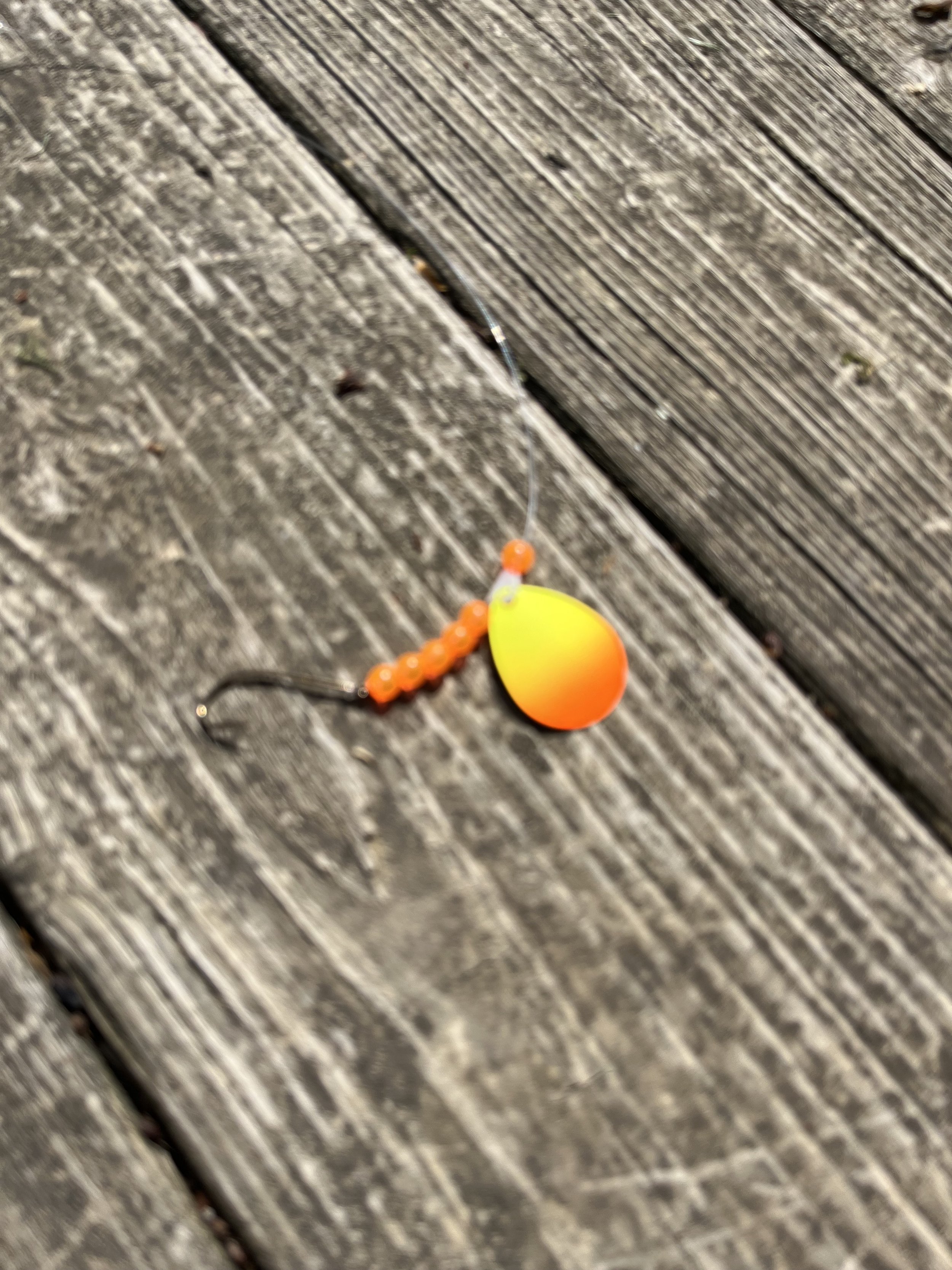 IMG_3499.jpeg