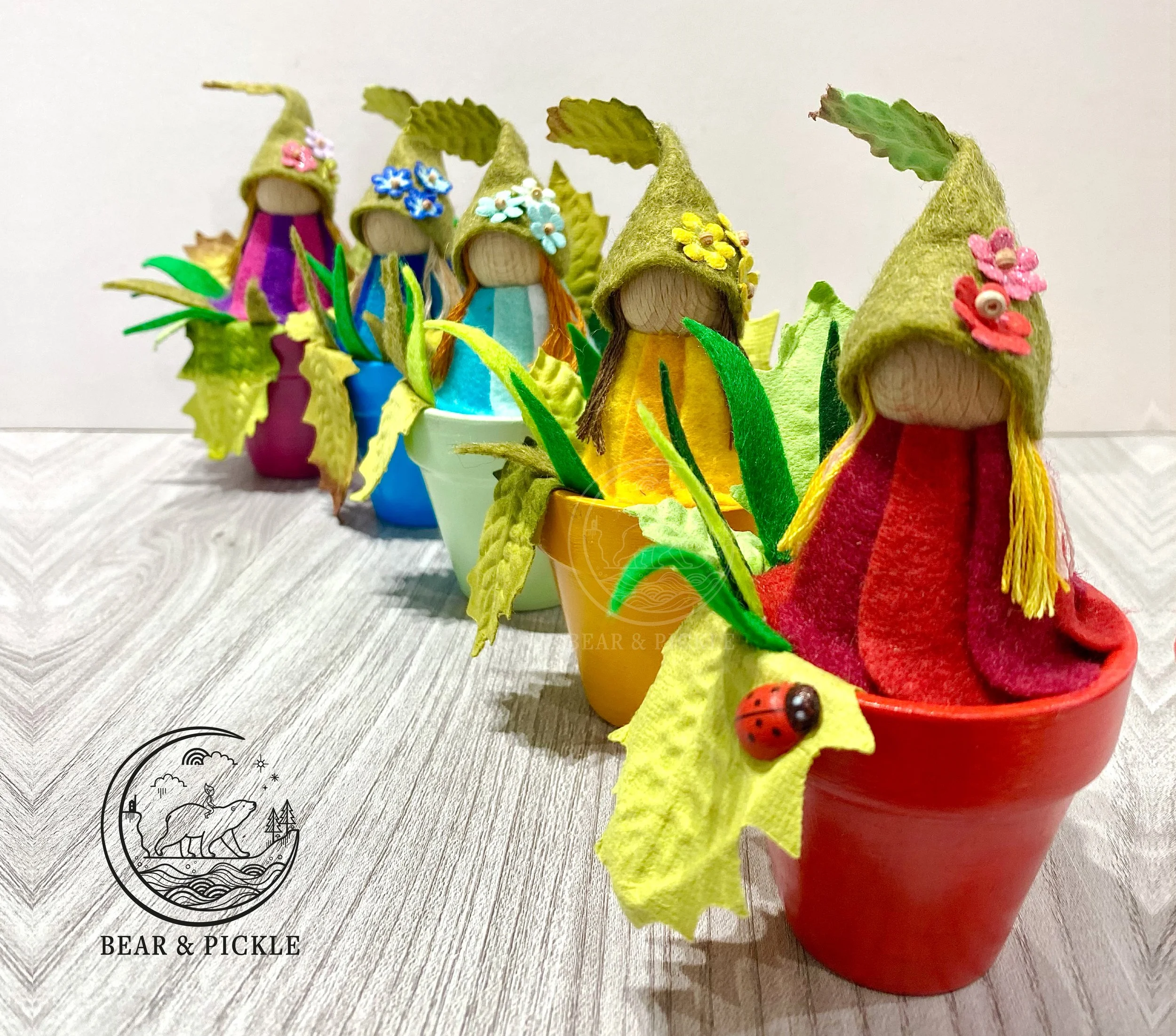 Potted piskies.jpg (Copy) (Copy)