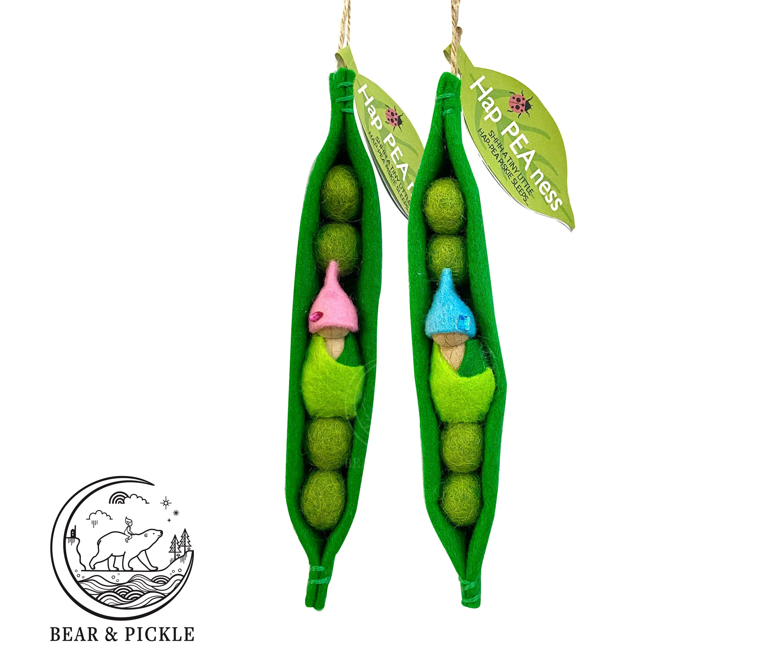 Blue & pink pods.jpg (Copy)