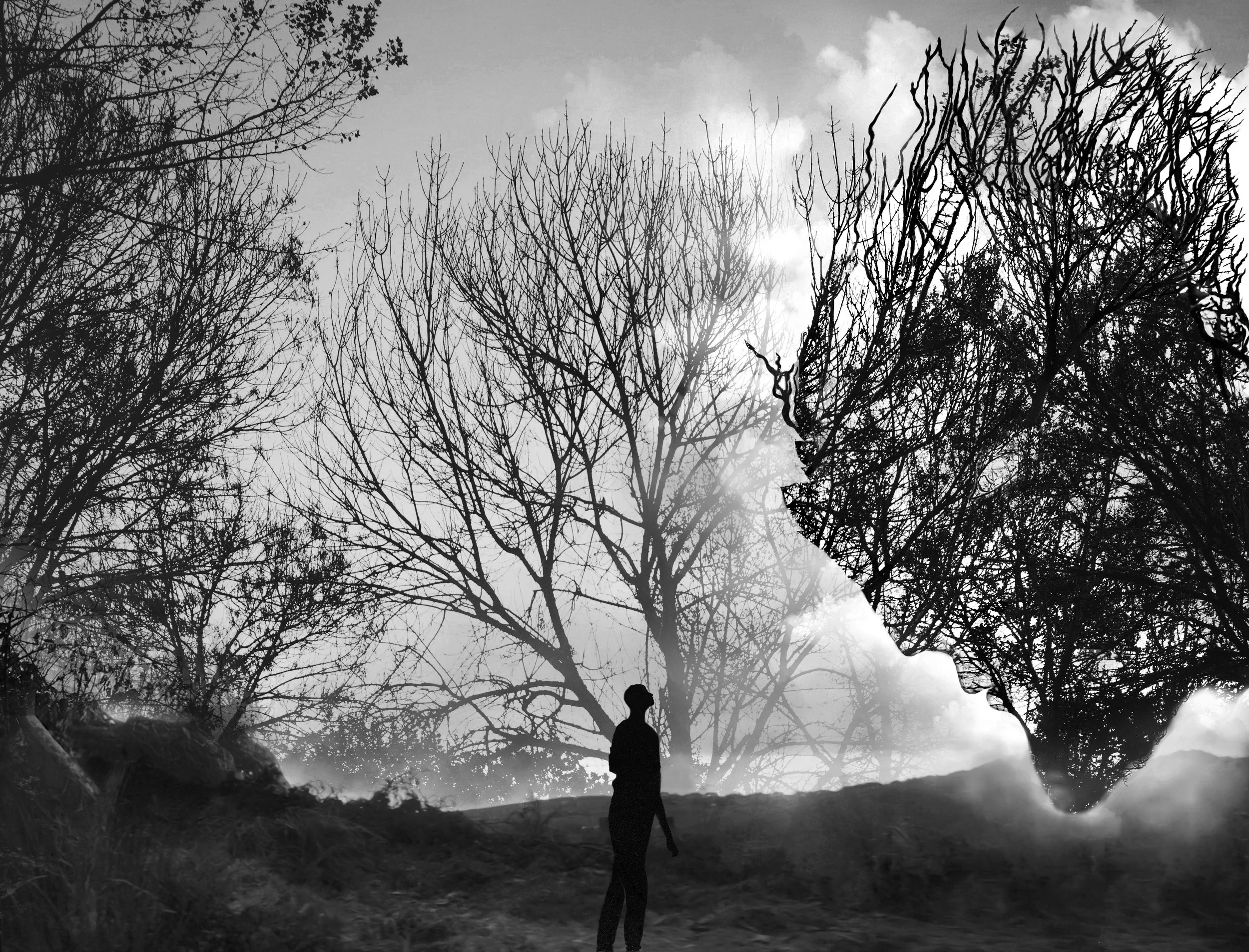 A Monster Calls Print
