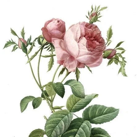 5:29-30:27.jpg